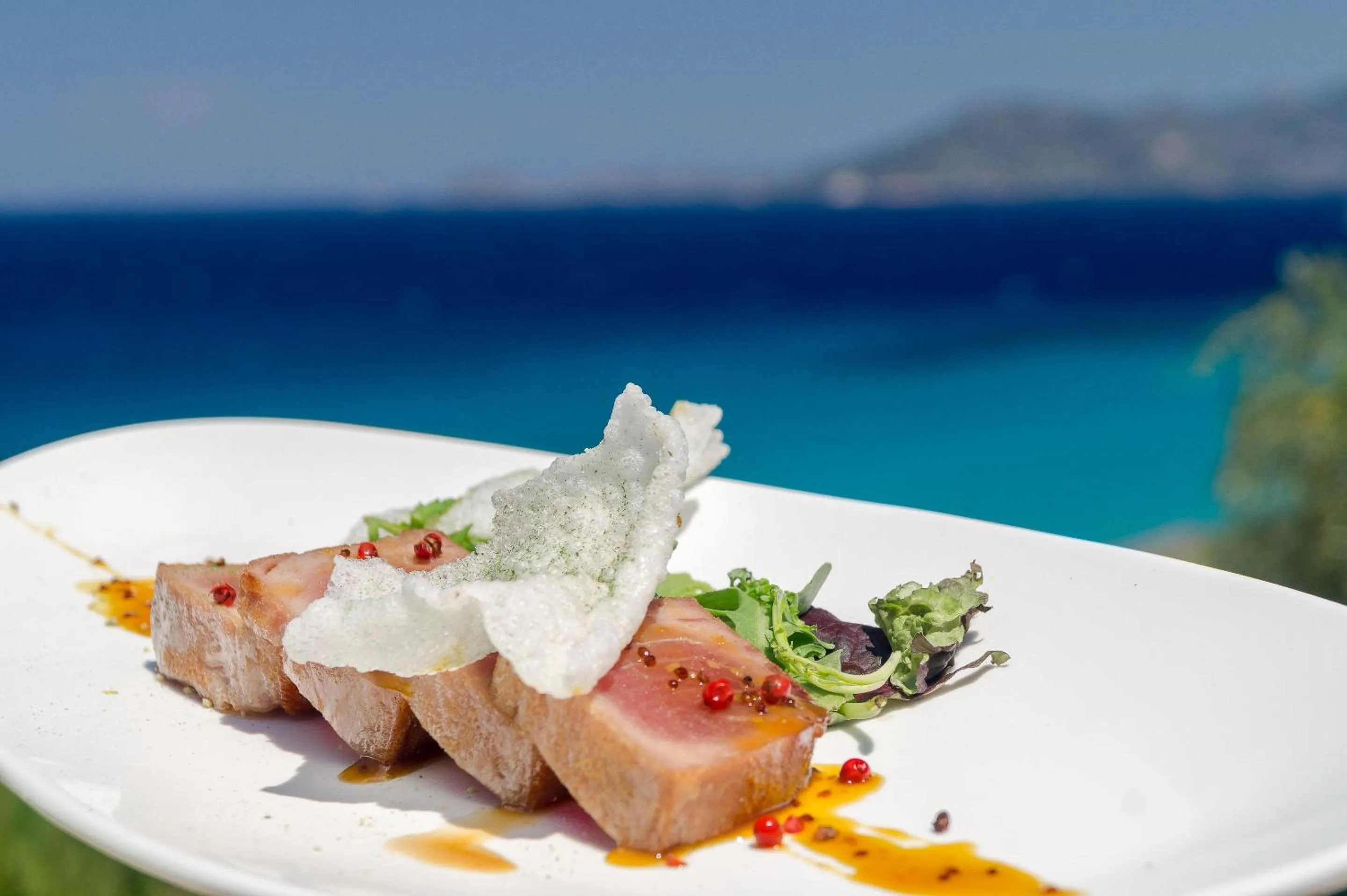 Restaurant/places to eat in Armonia Bay Hotel