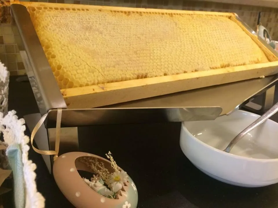 Food close-up in Hotel Lady Mary