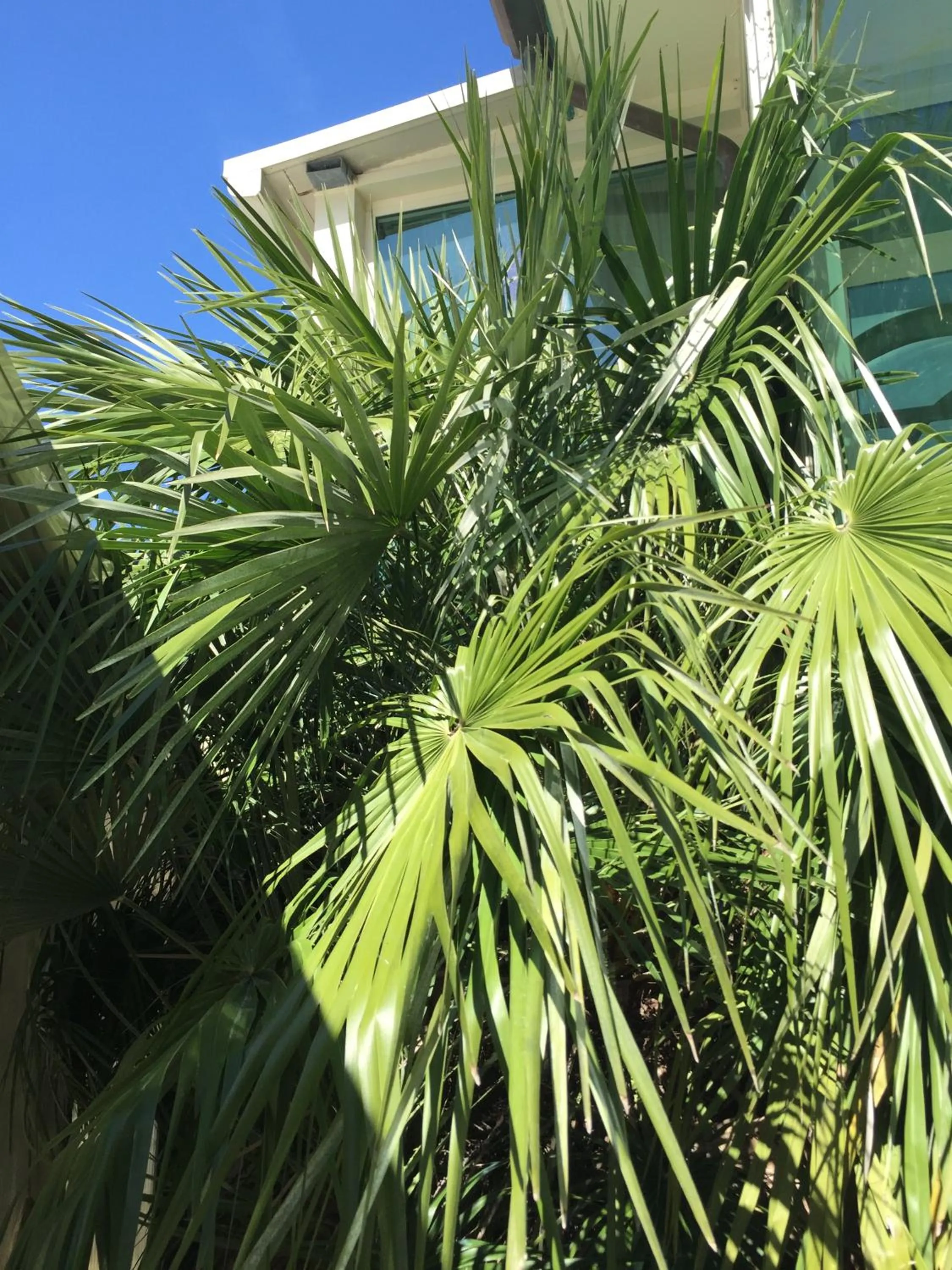 Day in Hotel Lady Mary