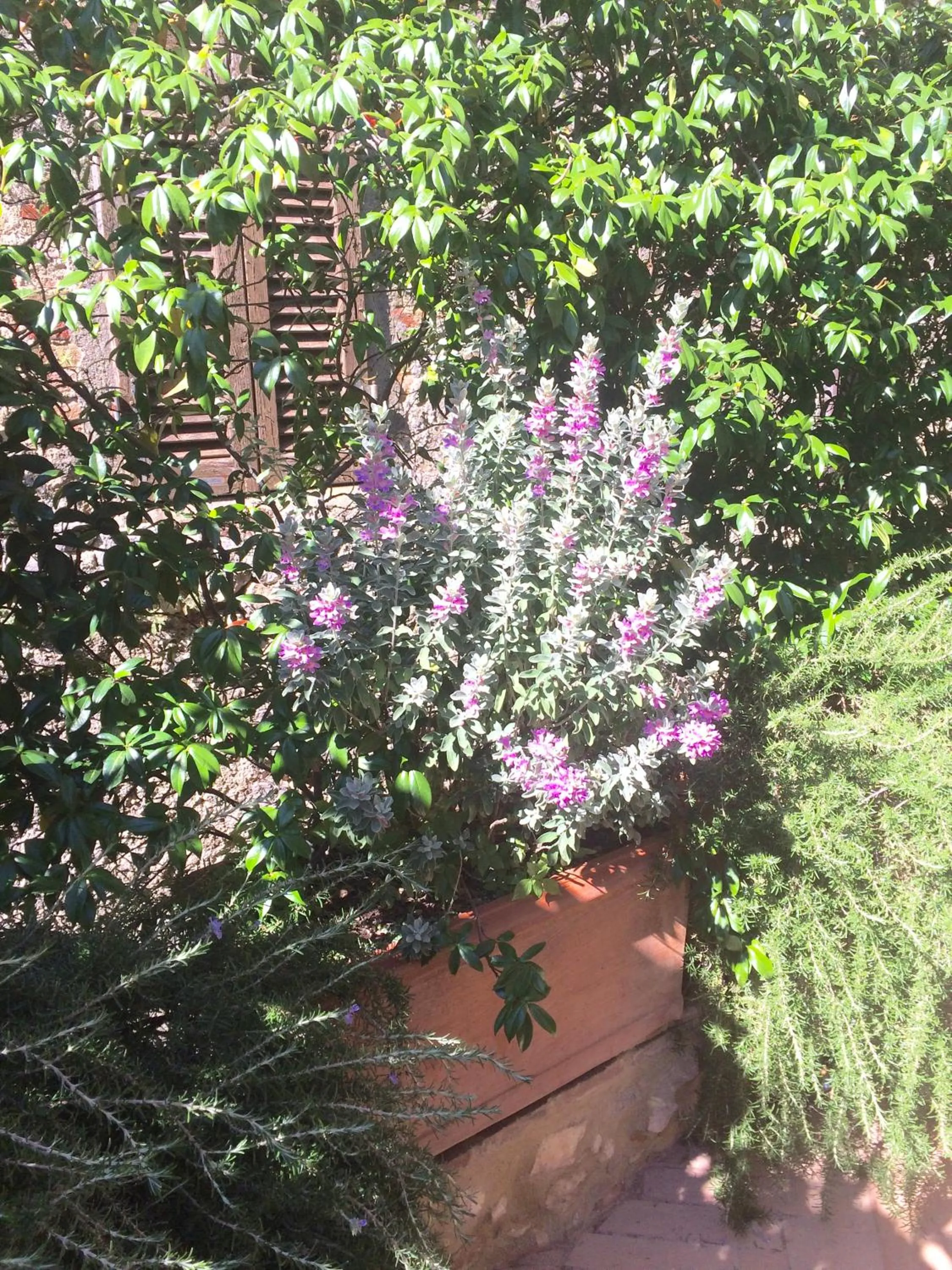 Le Antiche Mura