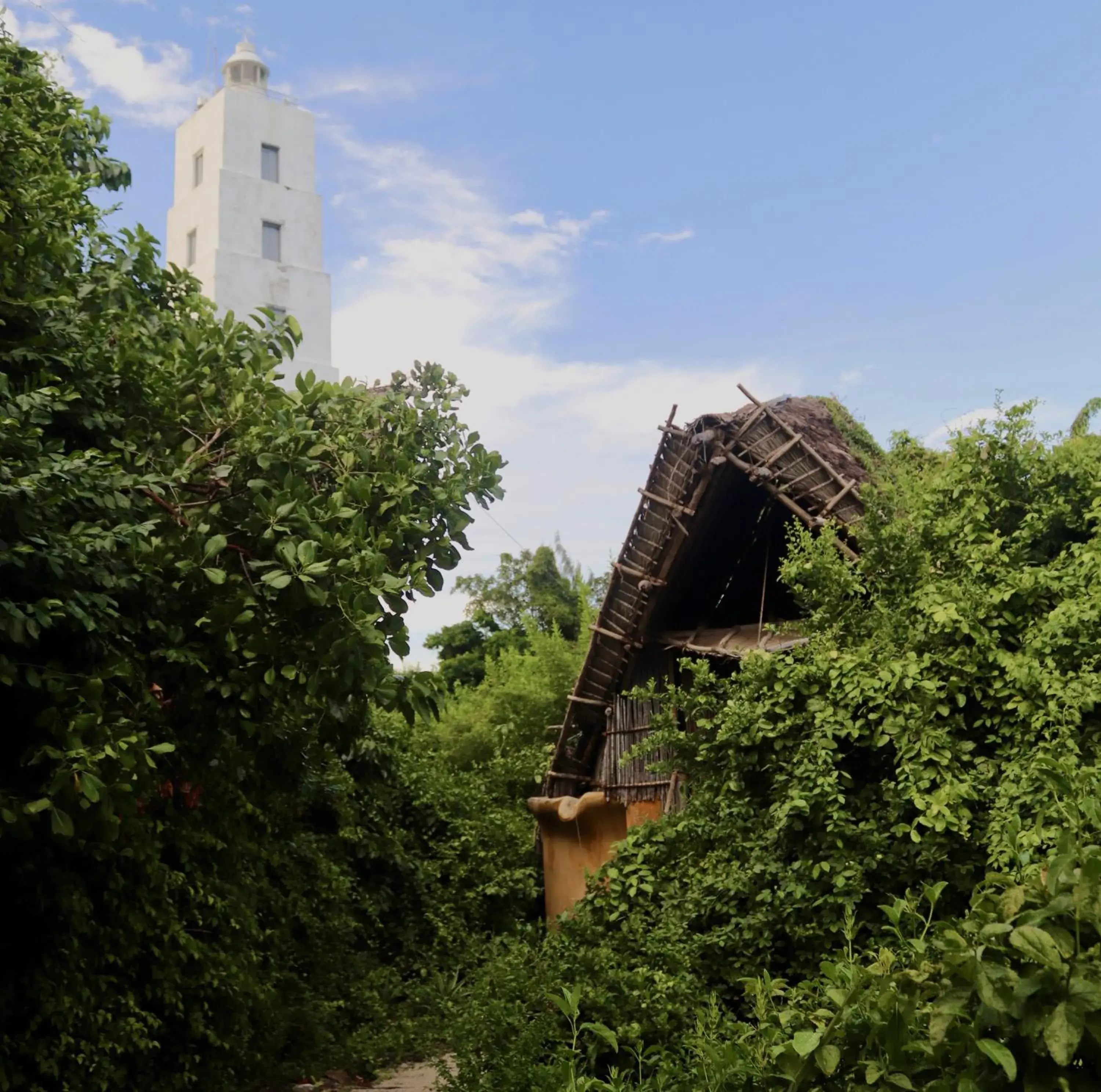 Bungalow with Garden View - single occupancy in Chumbe Island Coral Park Bungalow with Garden View - single occupancy in Chumbe Island Coral Park