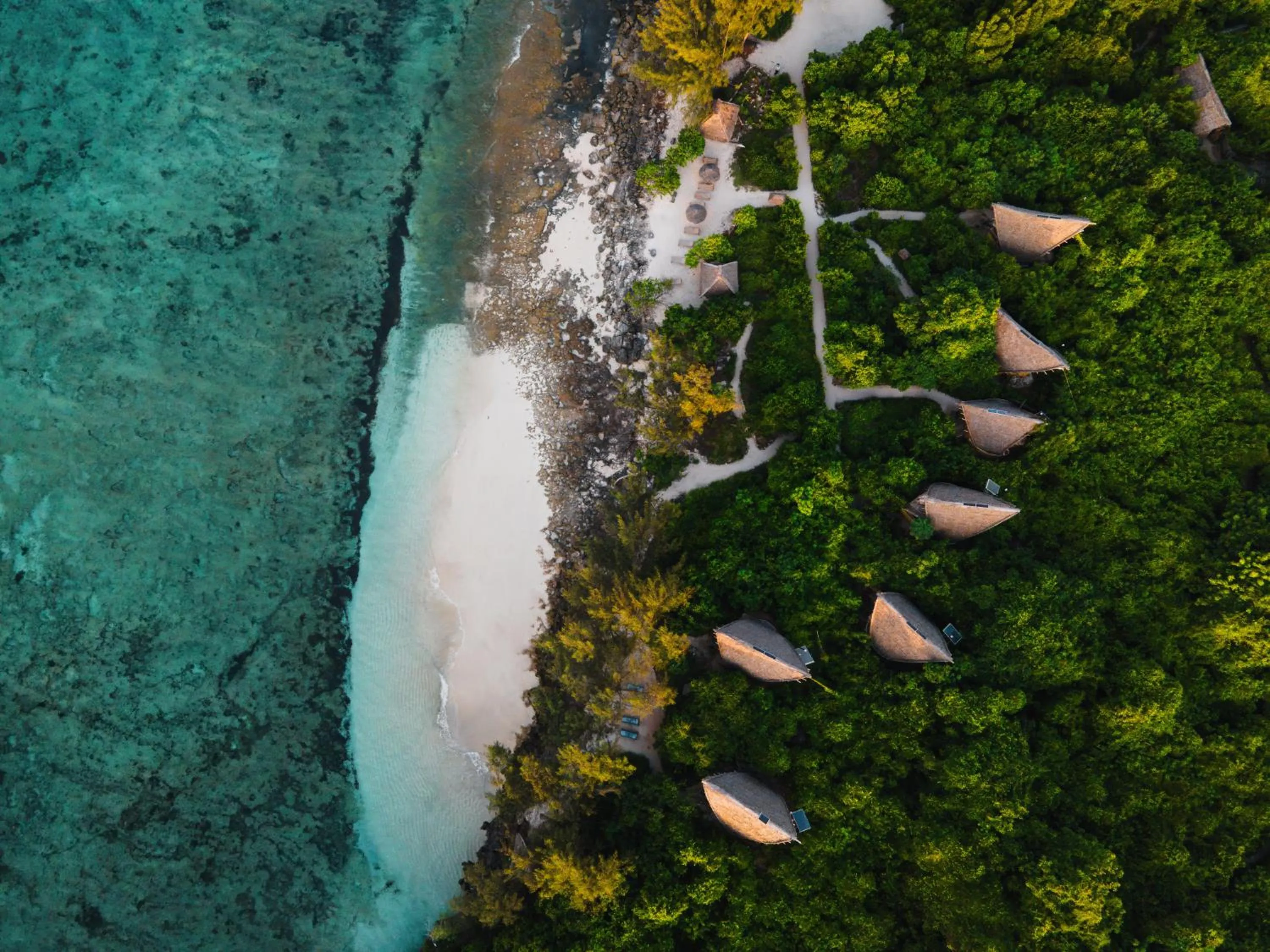 Natural landscape in Chumbe Island Coral Park