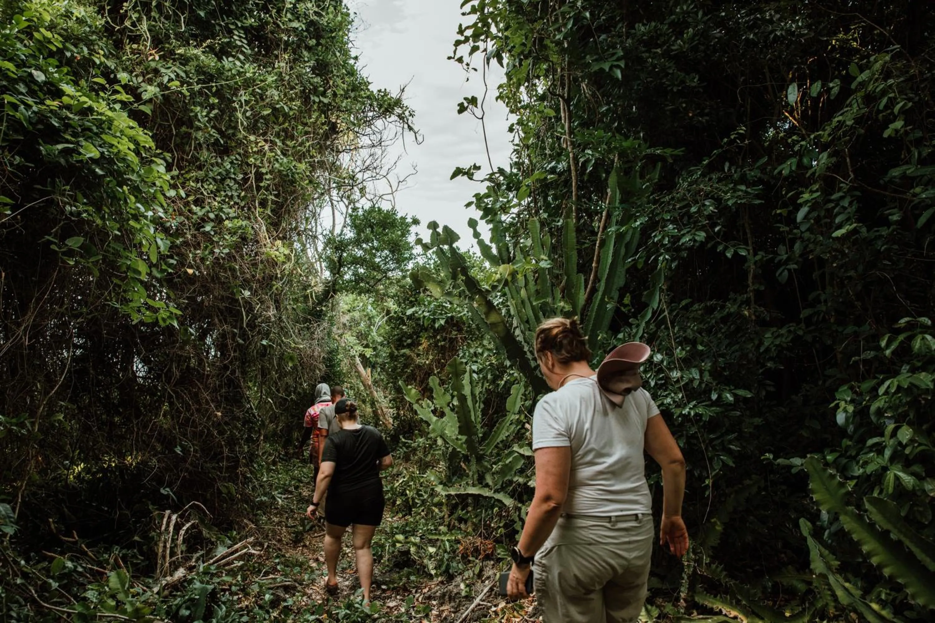 Day in Chumbe Island Coral Park