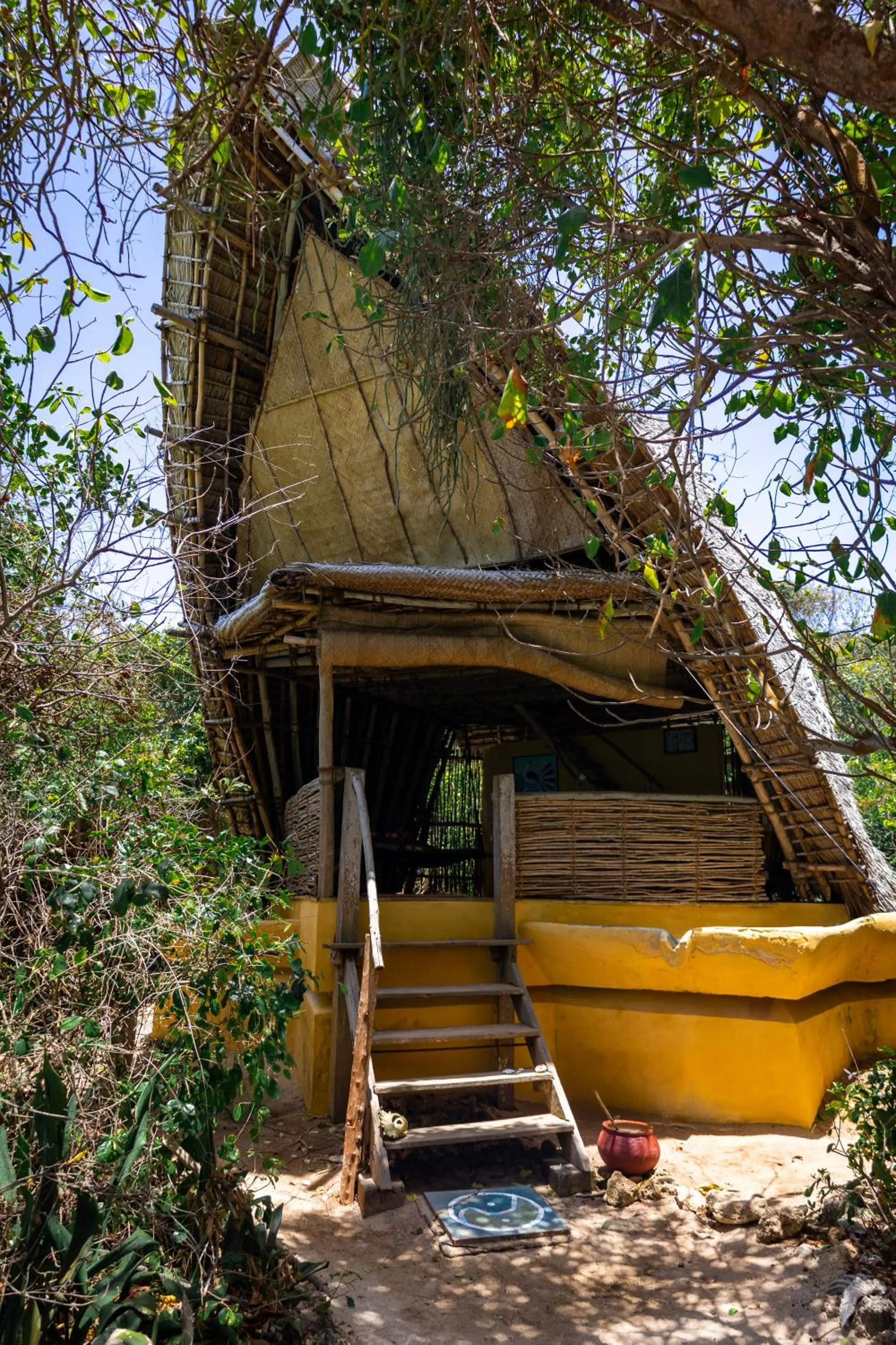Day in Chumbe Island Coral Park