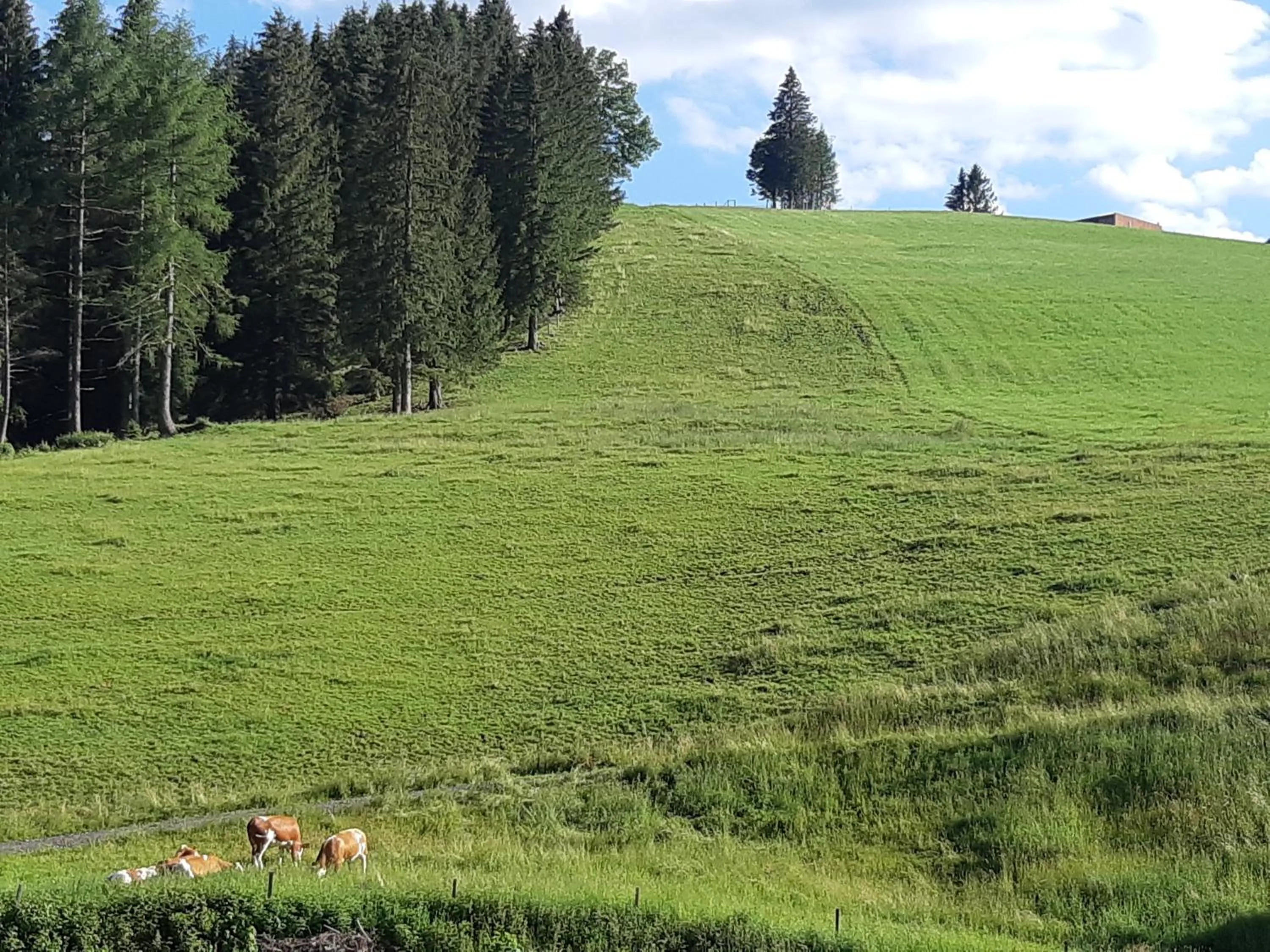 Gasthof Klug zum Ehrensepp