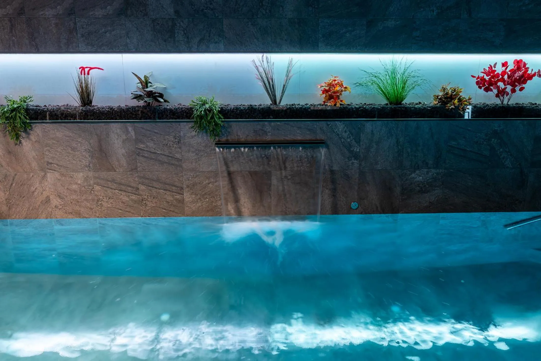 Spa and wellness centre/facilities in Apartaments y Habitacions Entre Volcans