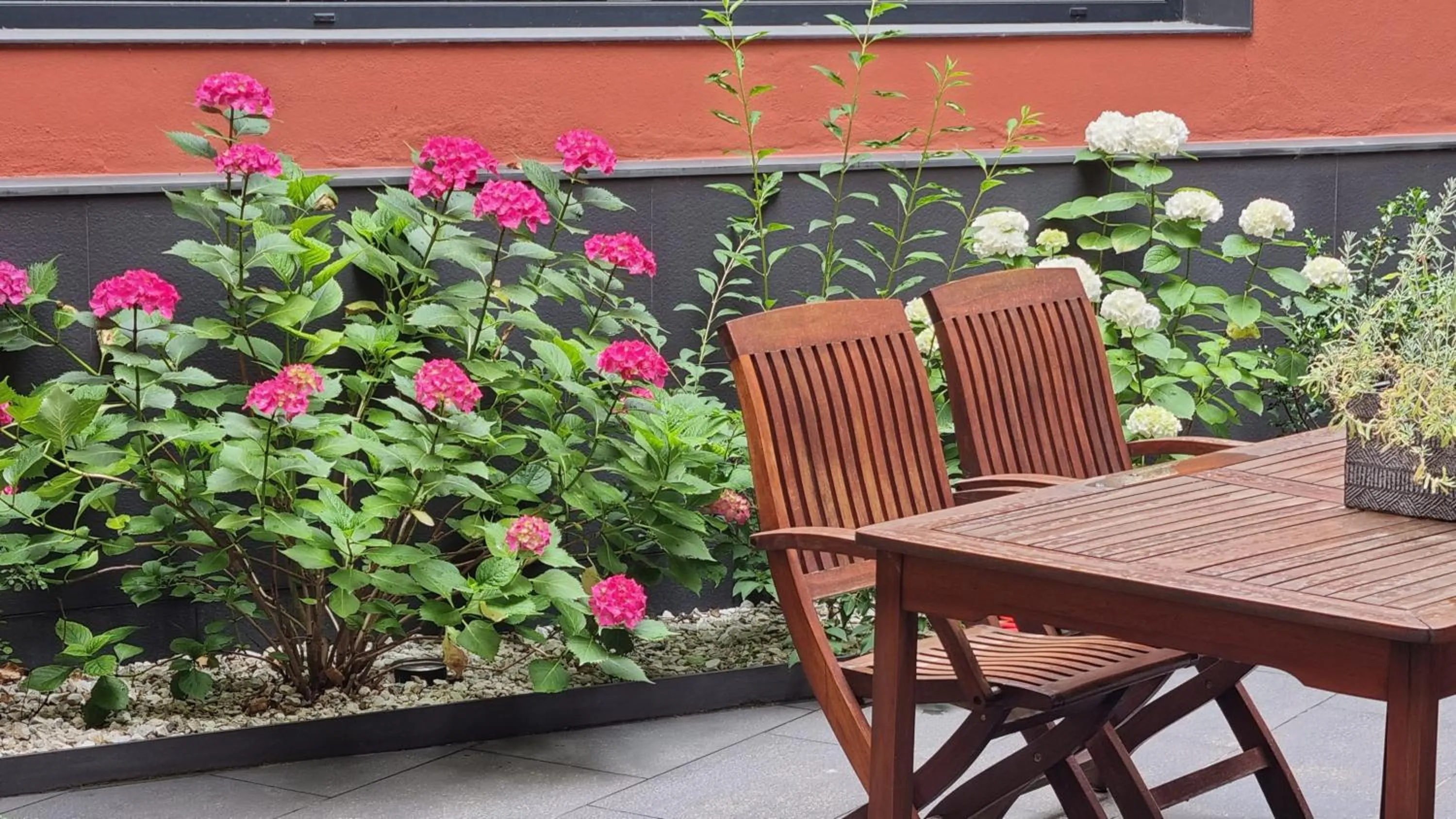 Garden in Apartaments y Habitacions Entre Volcans