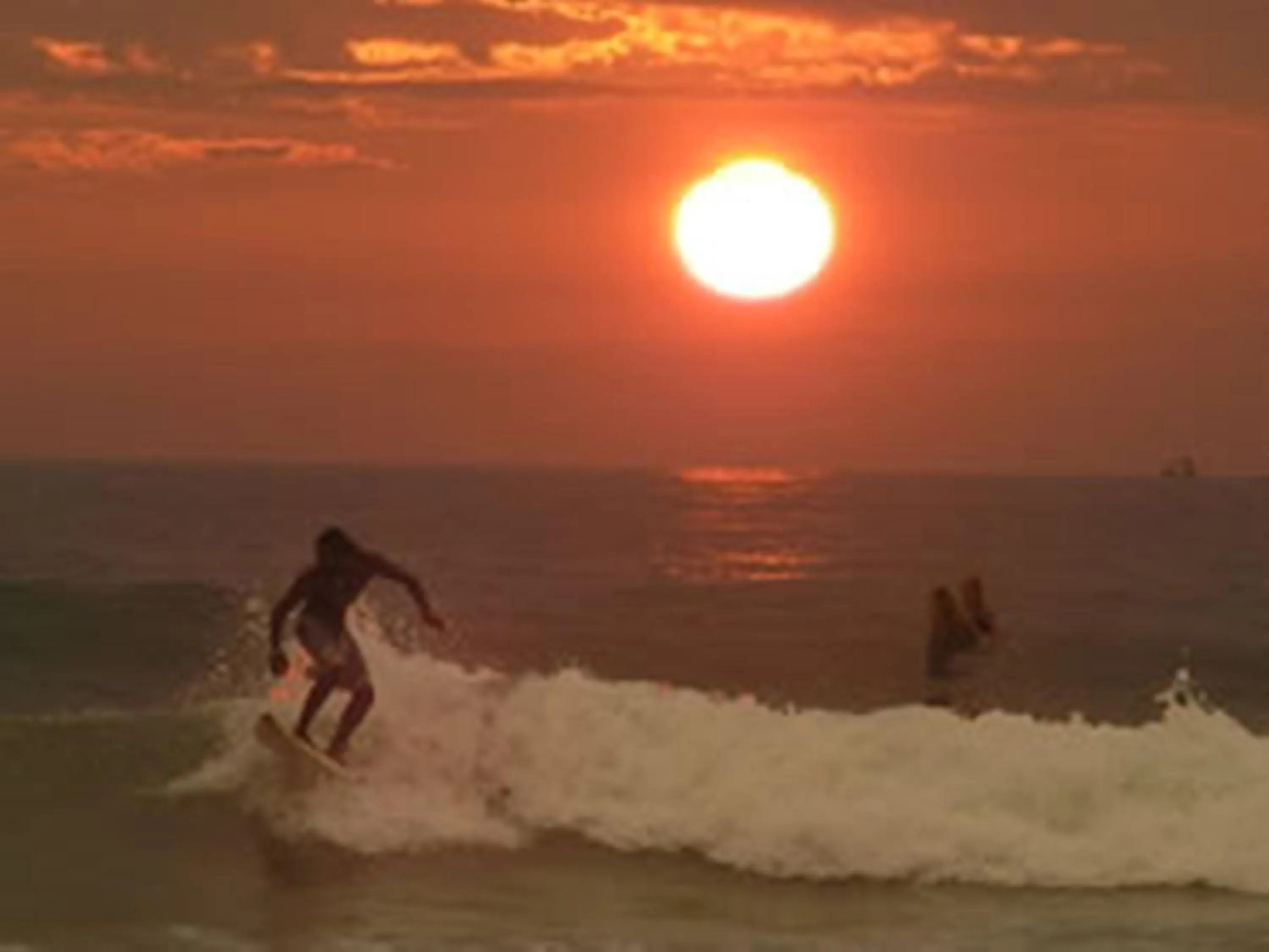 Beach in Midigama Holiday Inn