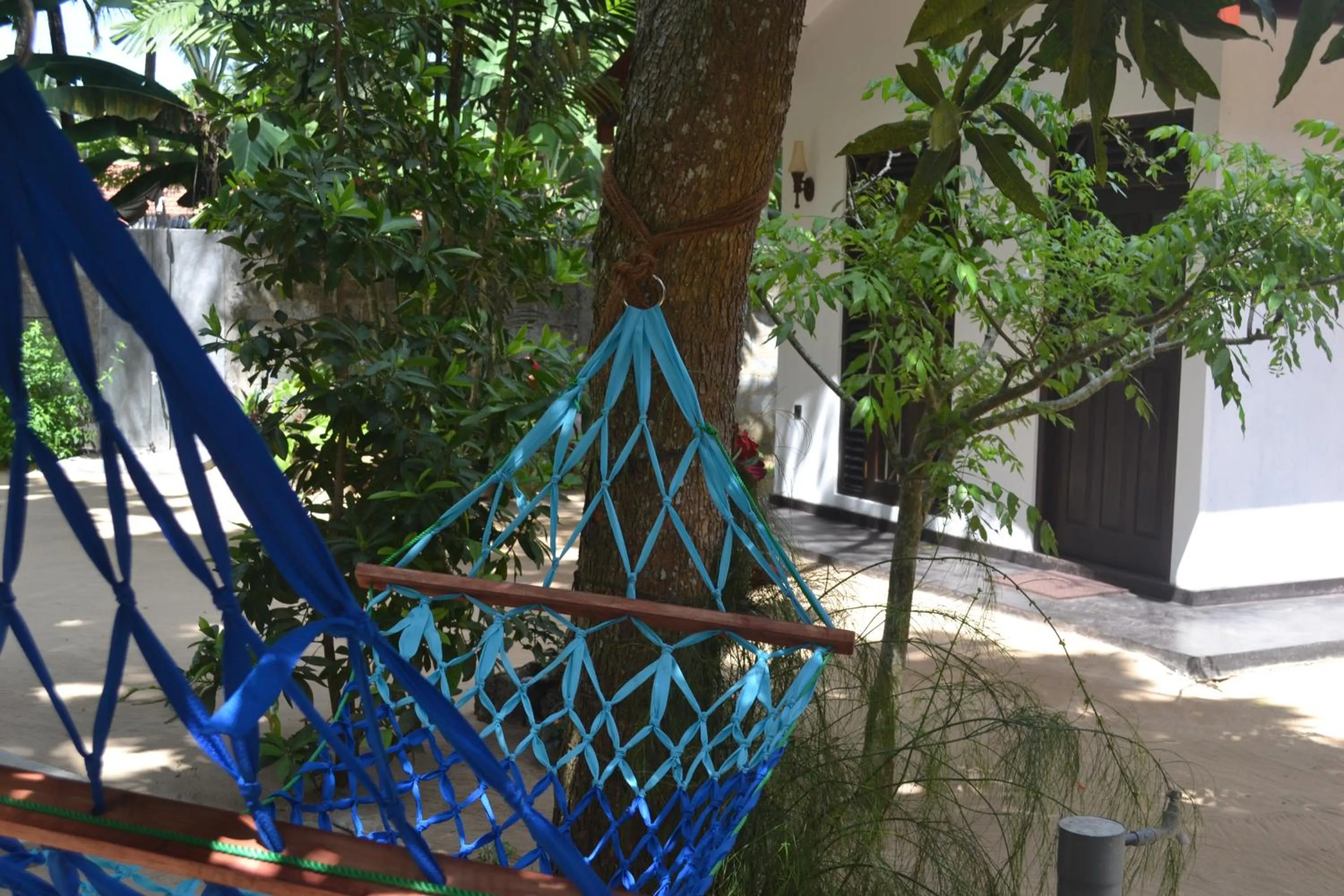 Garden in Midigama Holiday Inn