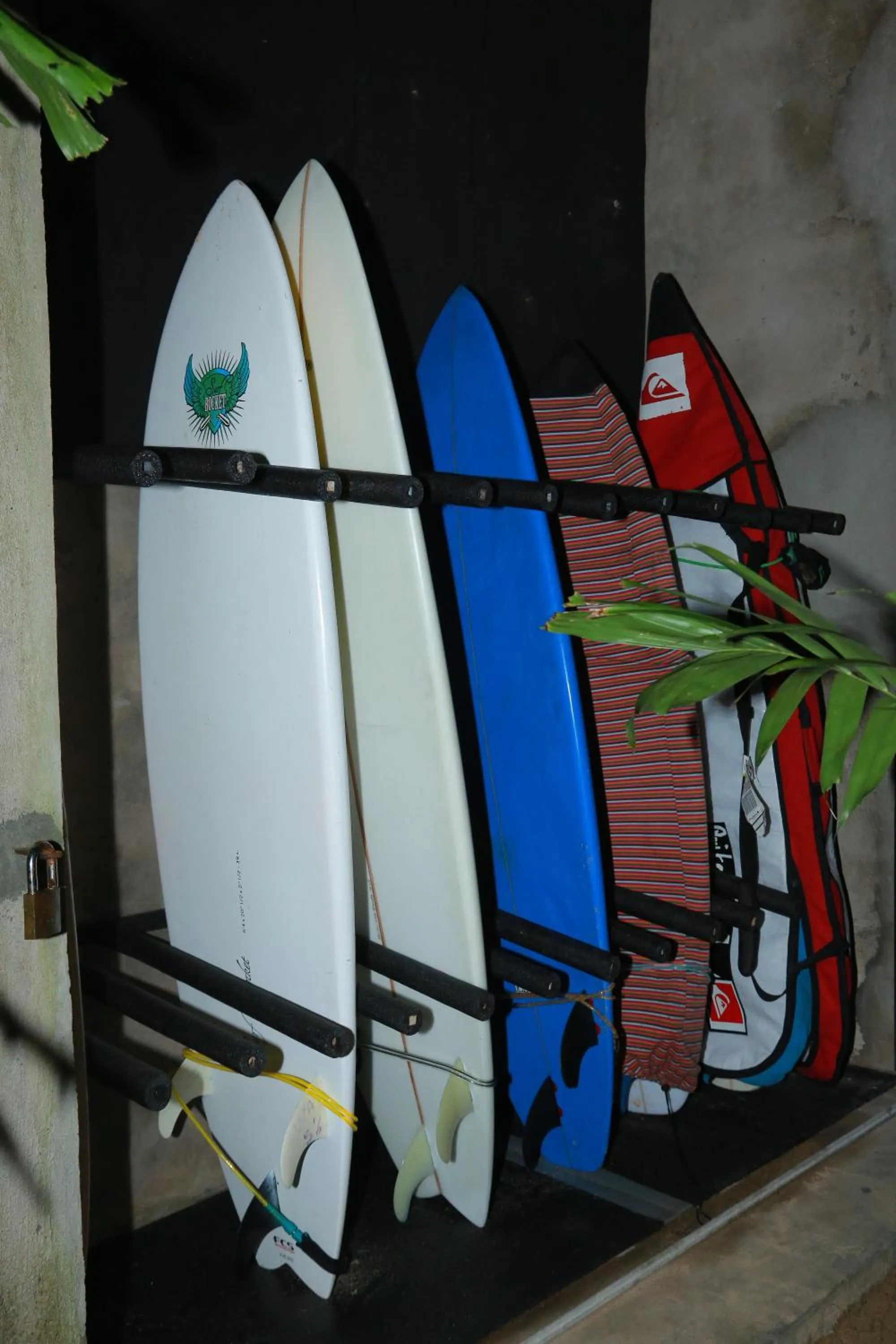 Garden in Midigama Holiday Inn