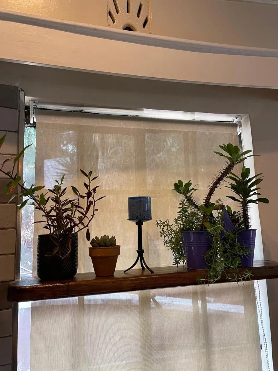 Decorative detail in Thayu House