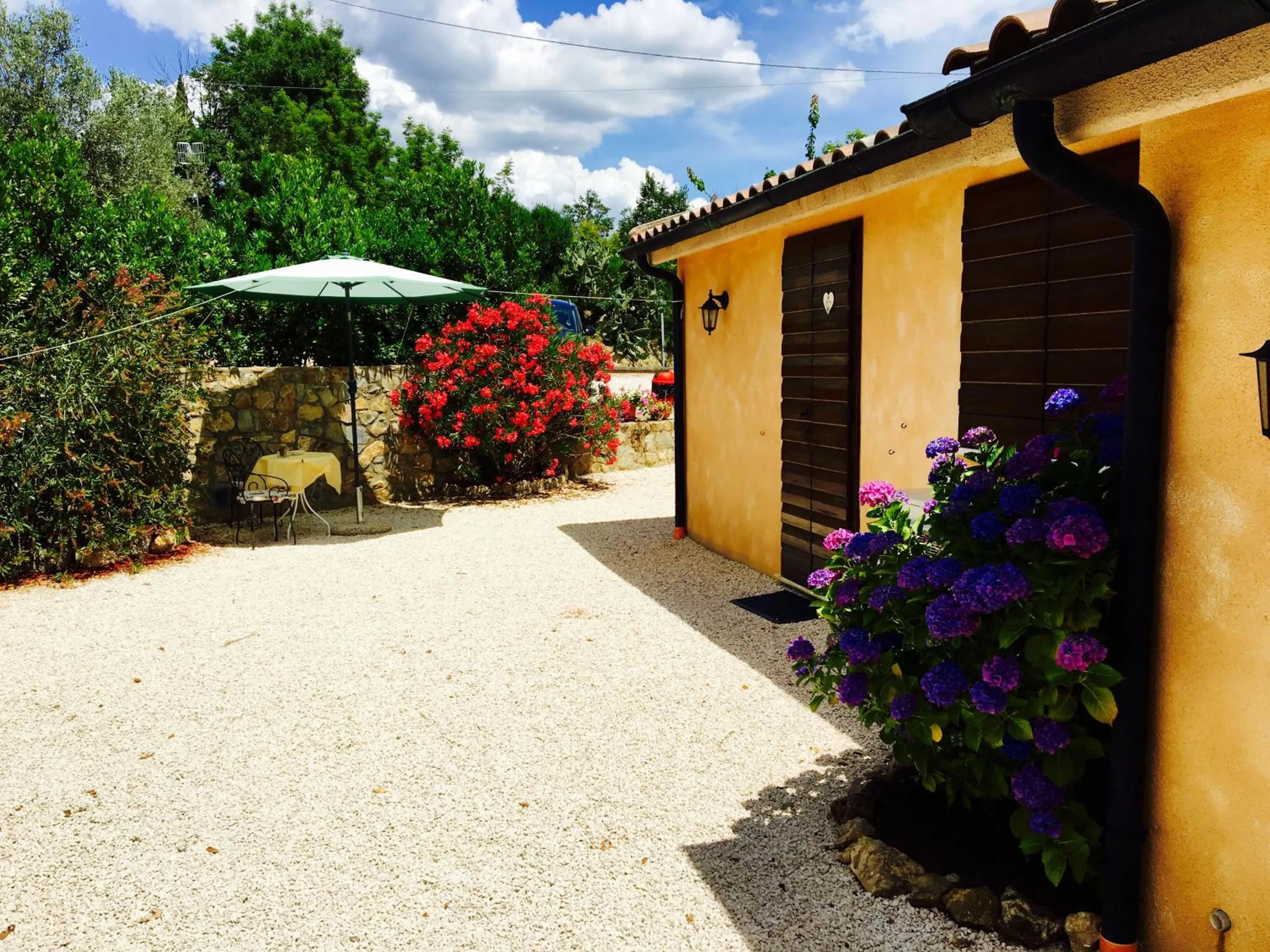Bird's eye view in B&B 8380 Saturnia Terme