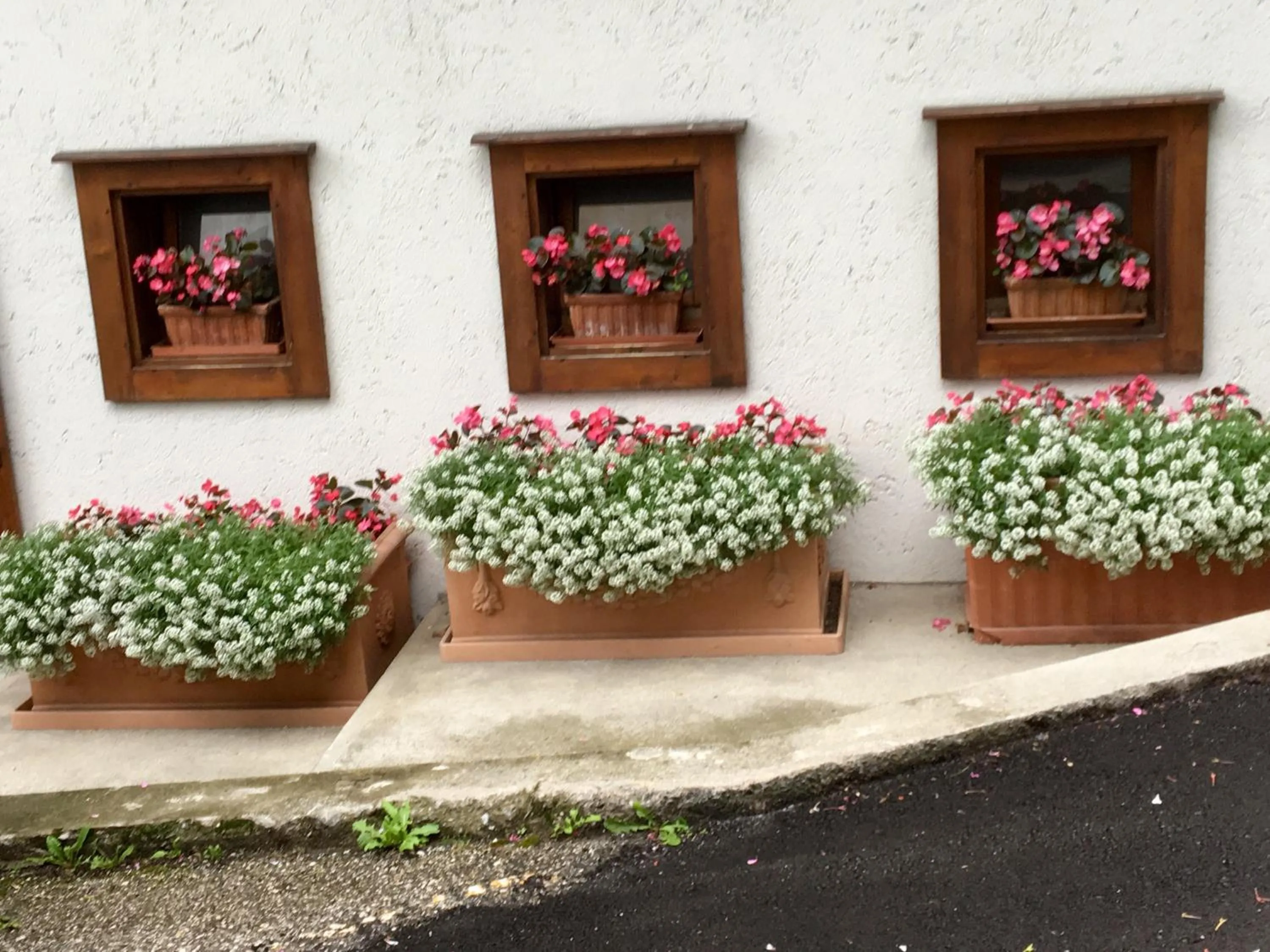 Albergo Meuble Tarandan