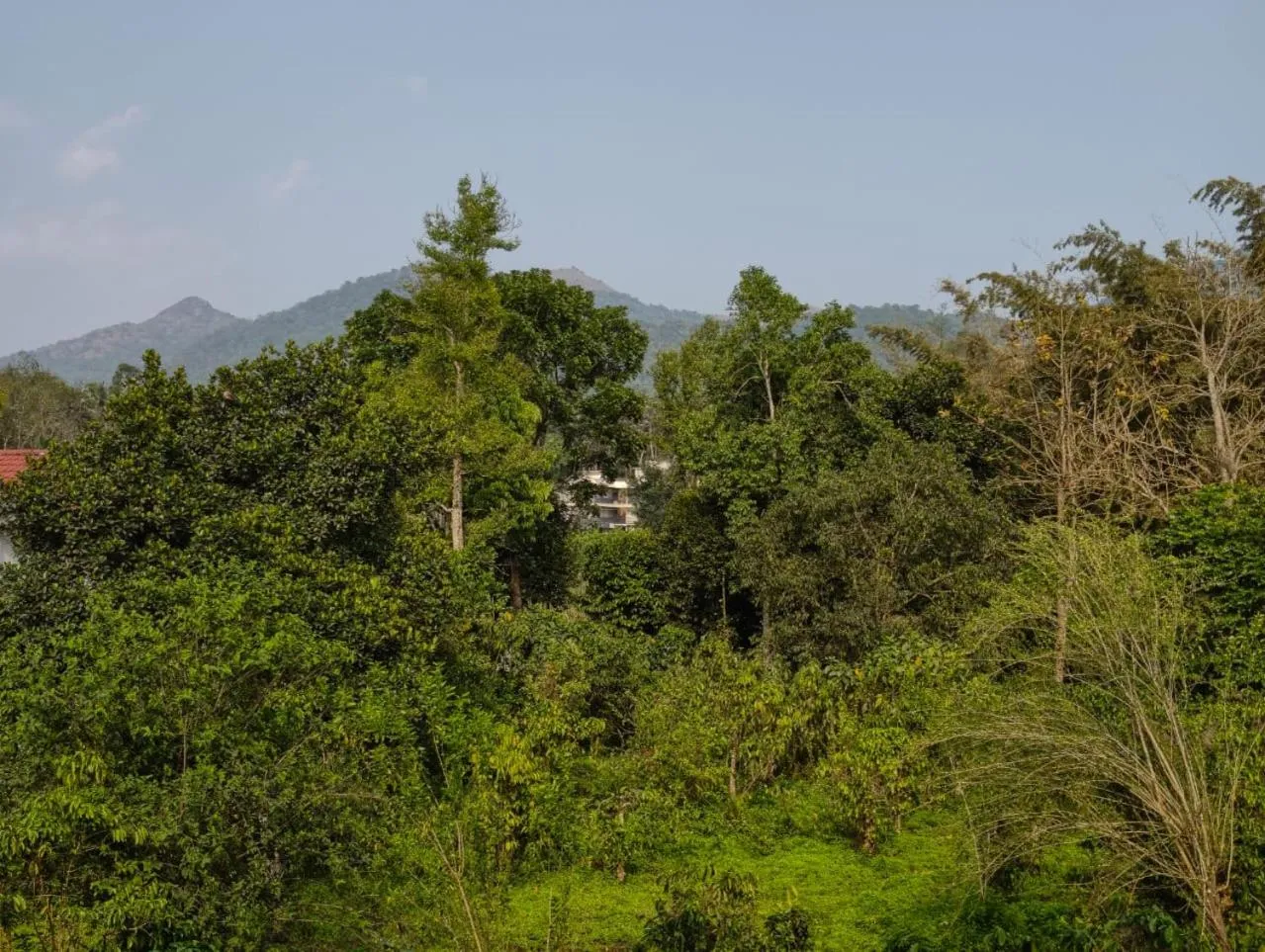 Hill View Residency