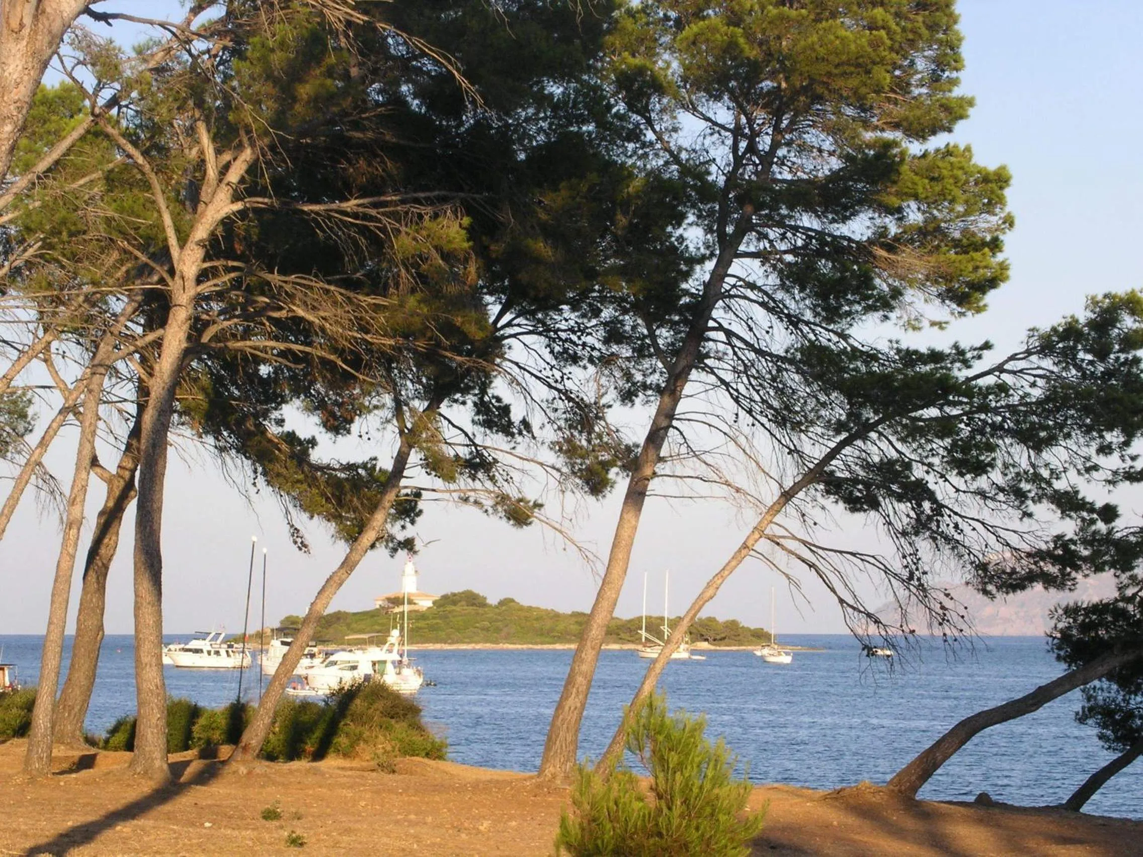 Nearby landmark in Apartaments Ses Dàlies