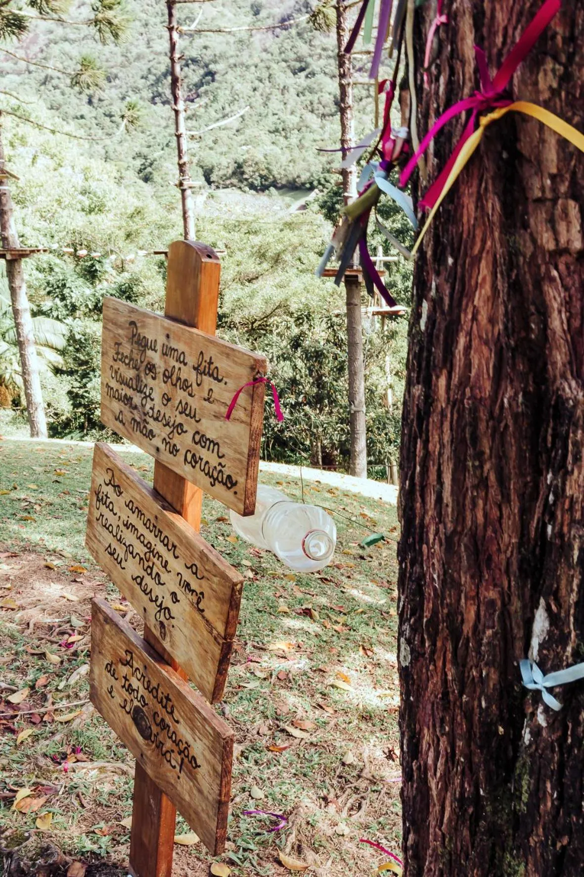 Garden in Plaza Caldas da Imperatriz Resort & Spa