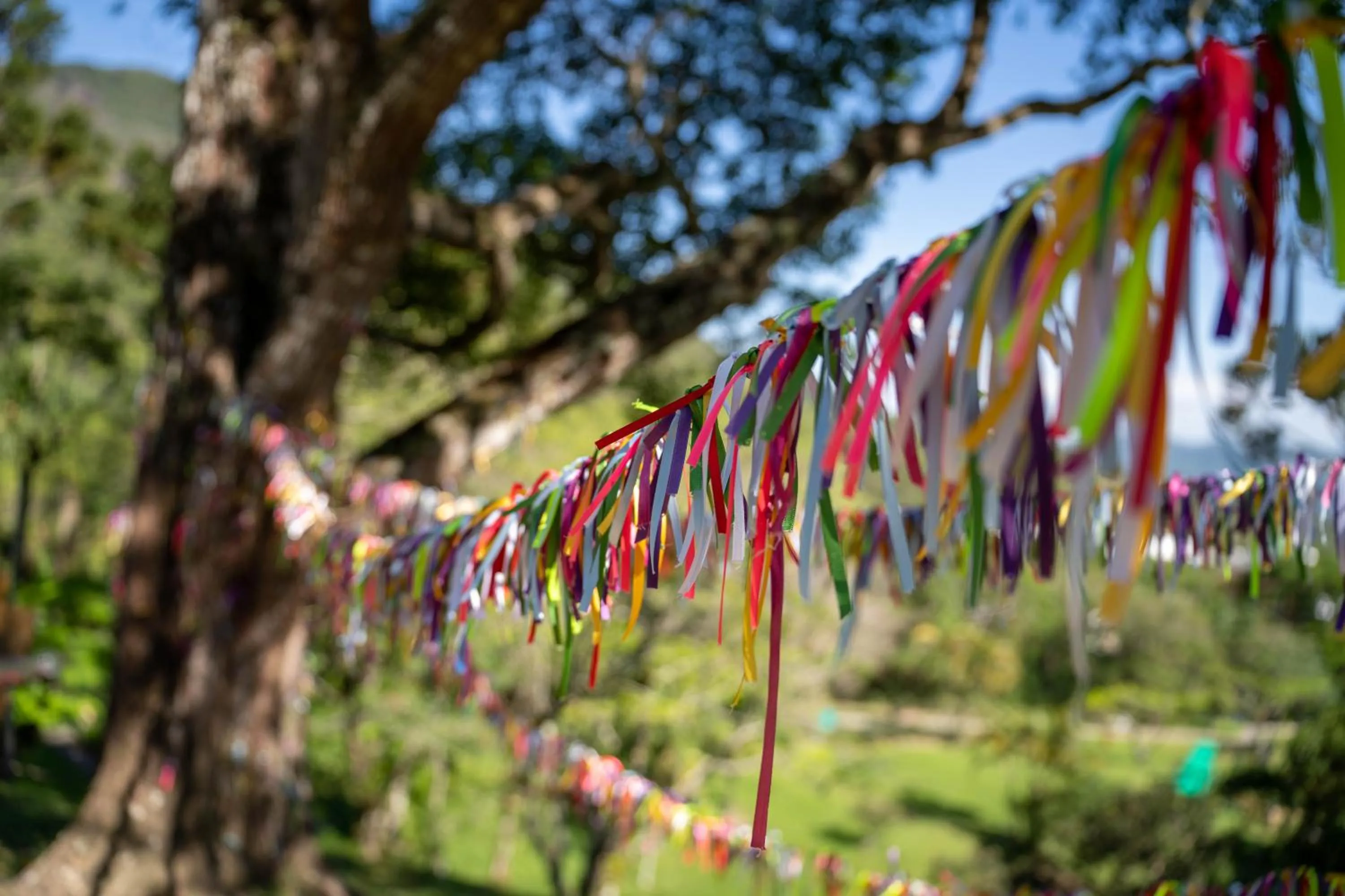 Spring in Plaza Caldas da Imperatriz Resort & Spa