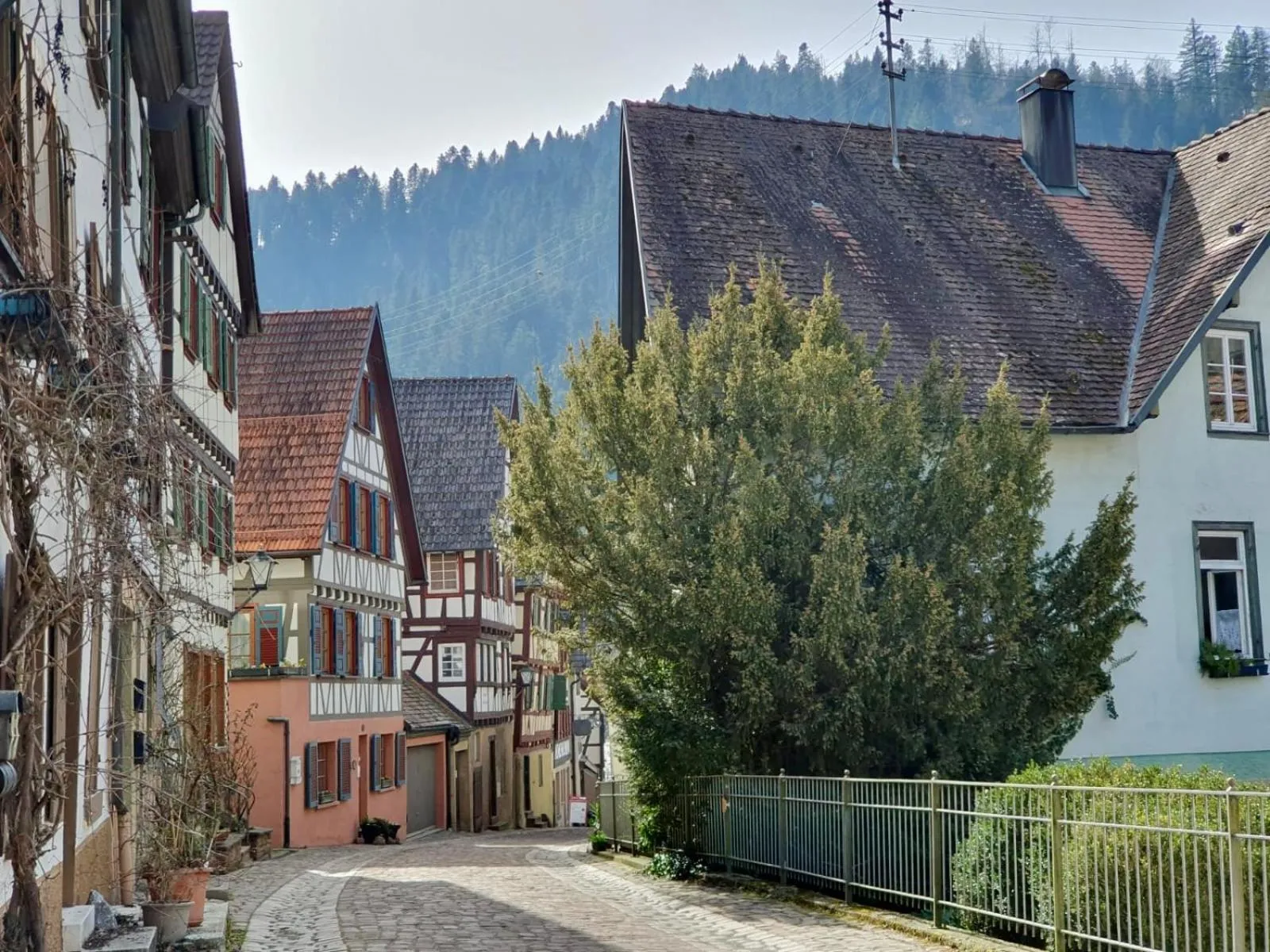 Staff in Gasthof Sonne