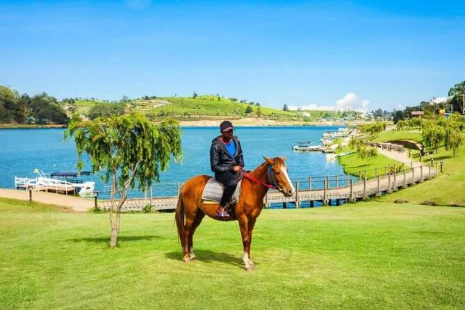 Horse-riding in Maples Holiday Resort