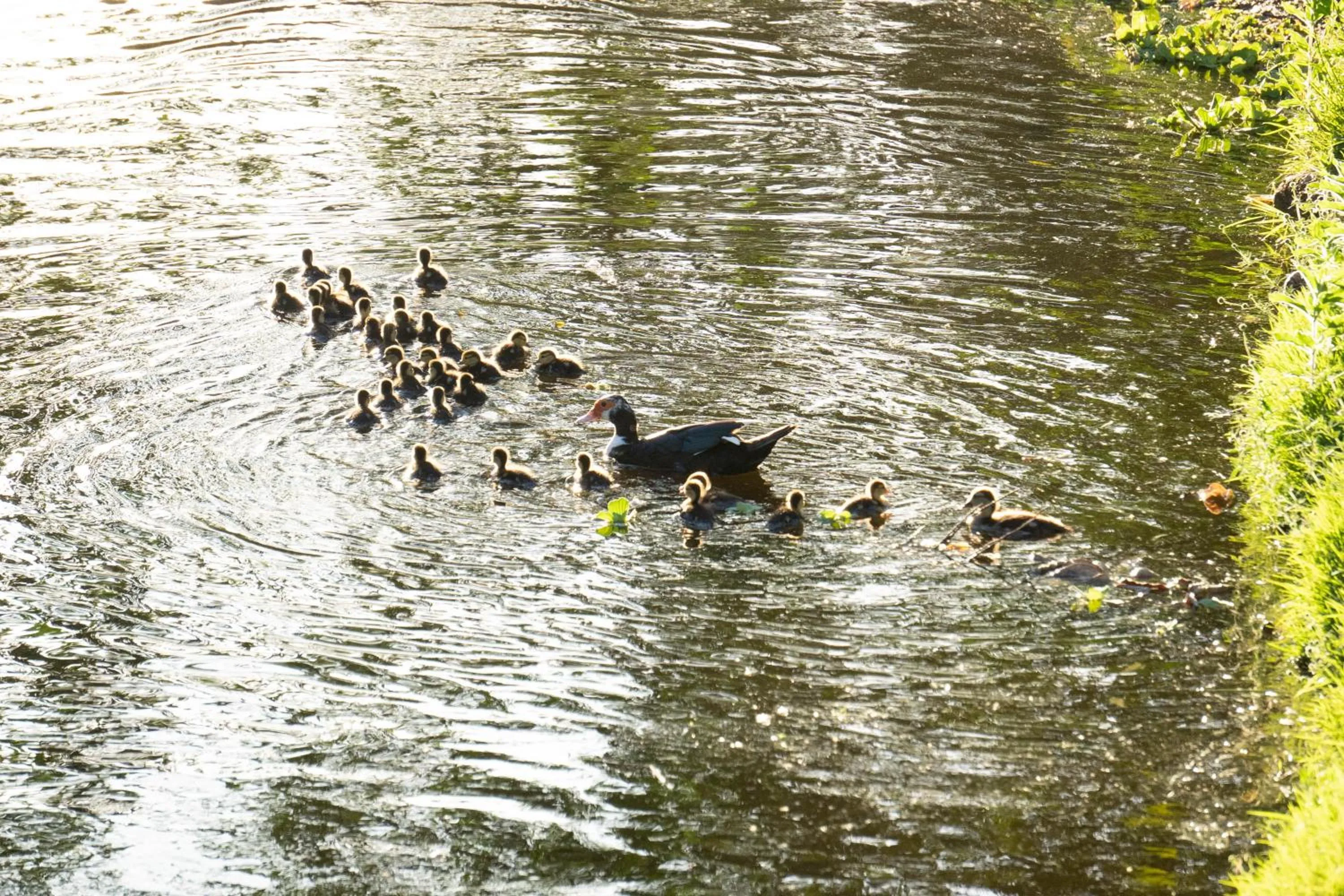 Natural landscape in Bahia Plaza Hotel