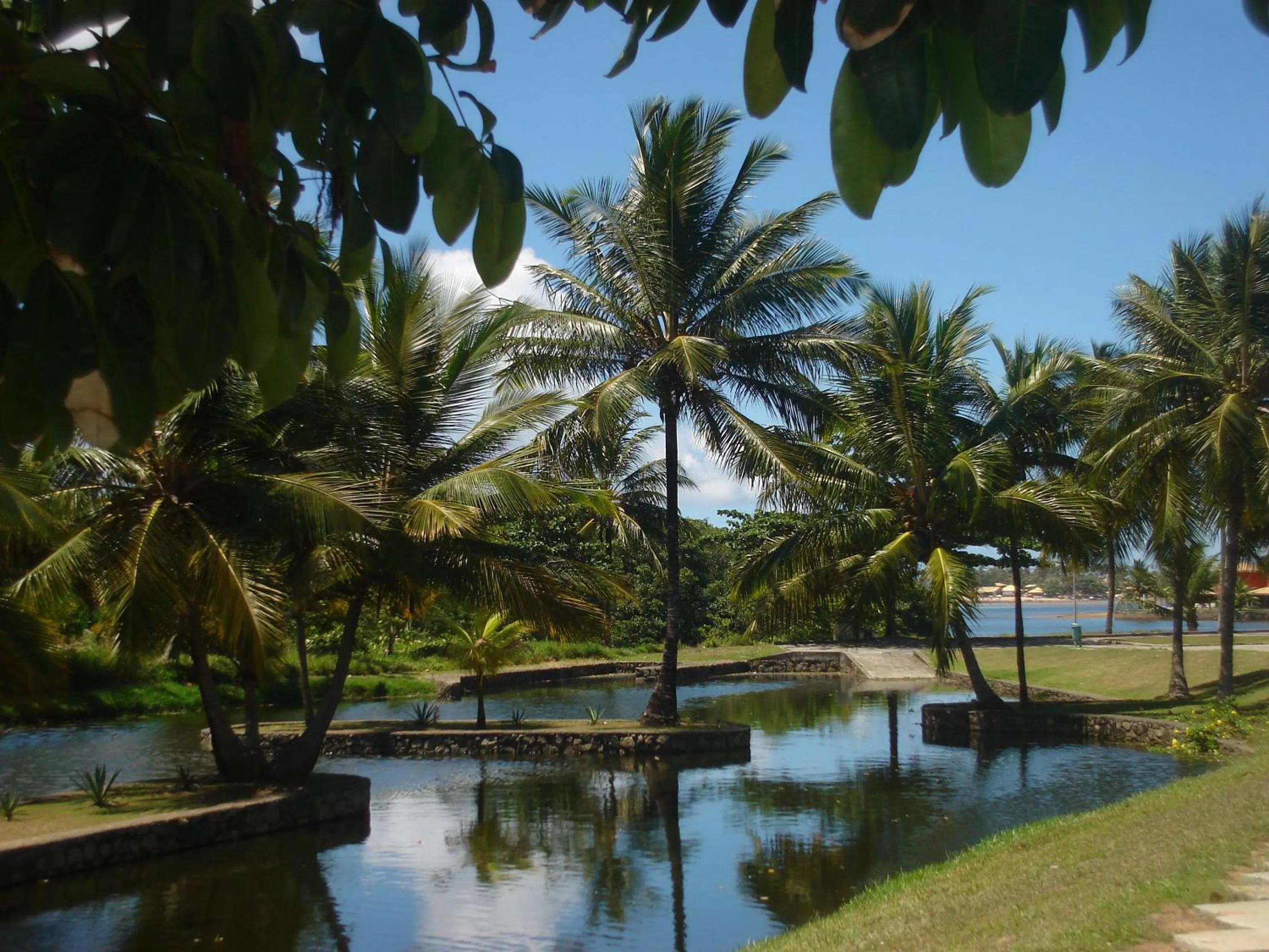 Garden in Bahia Plaza Hotel