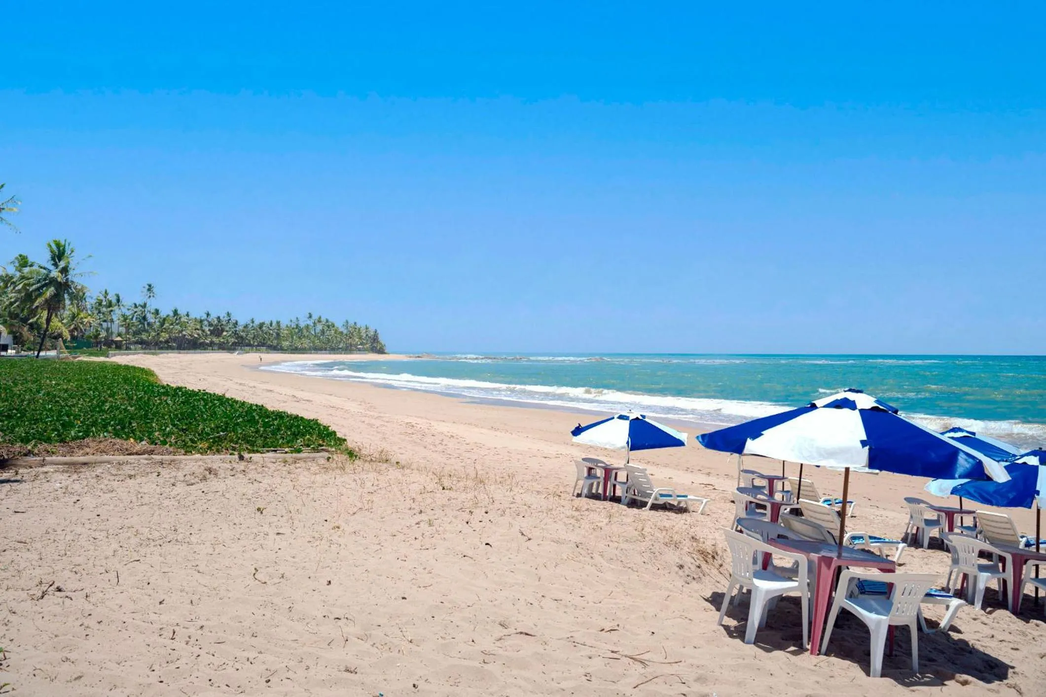 Day in Bahia Plaza Hotel