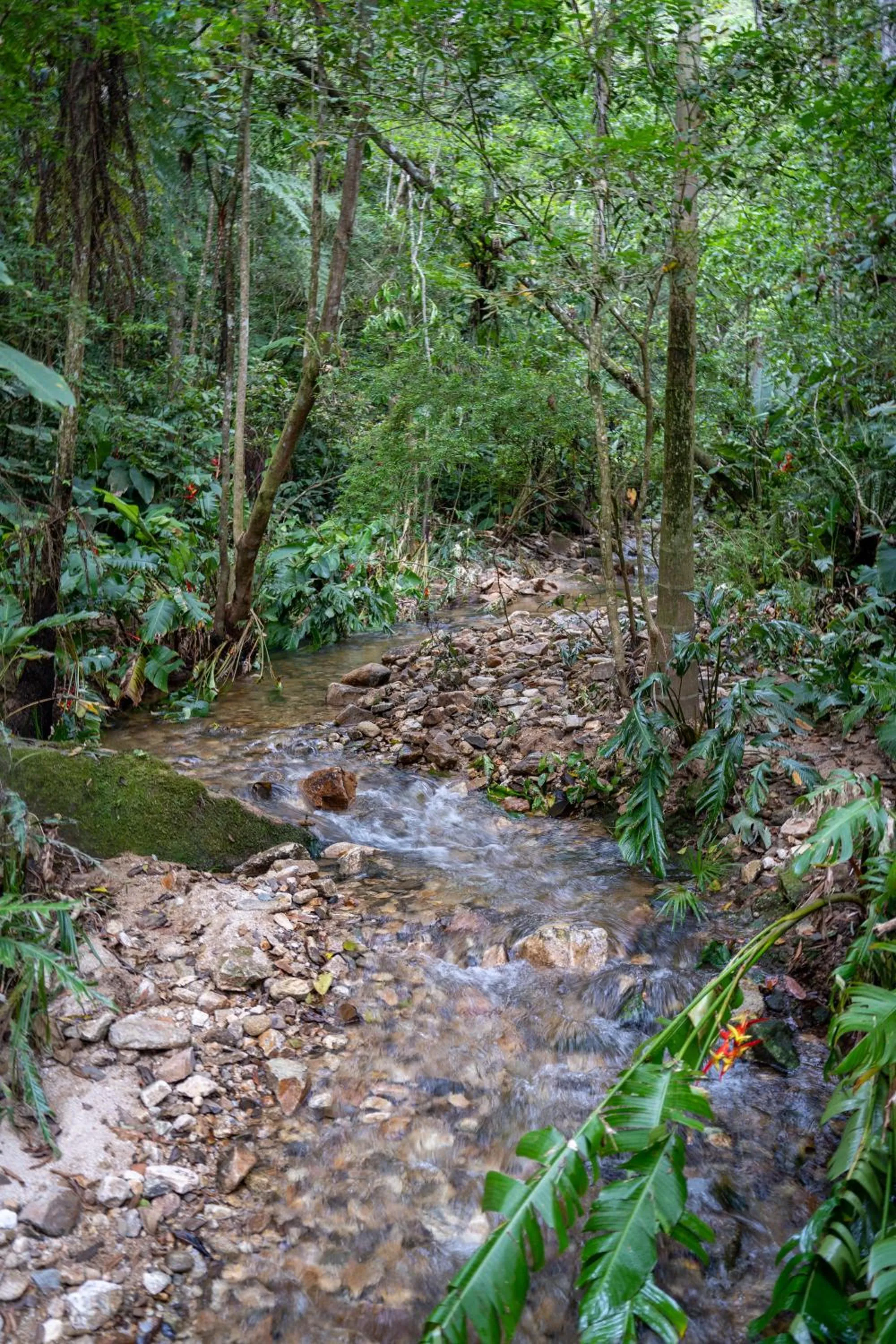 Natural landscape in Bahia Plaza Hotel
