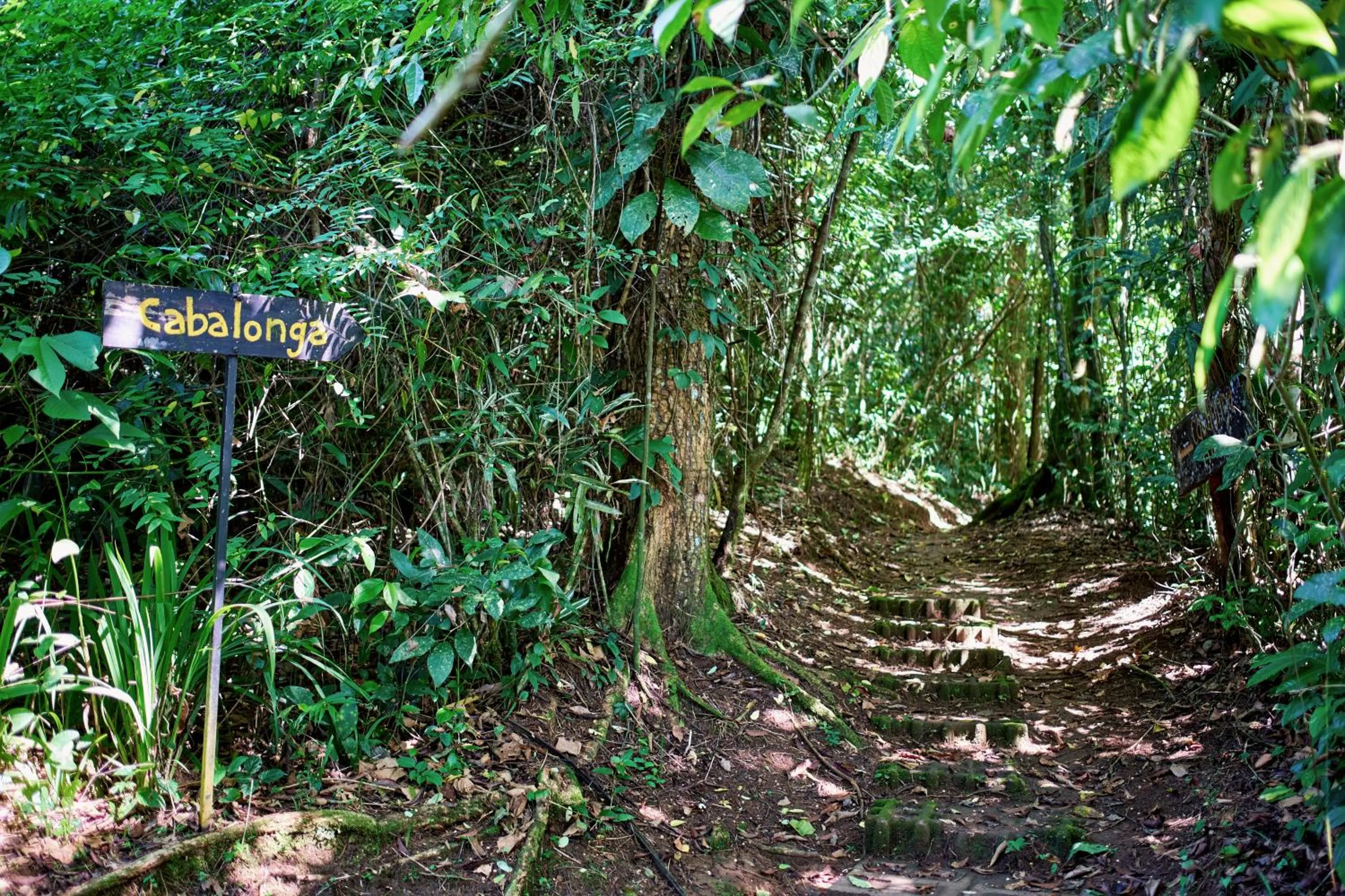 Natural landscape in Finca Luna Nueva Lodge