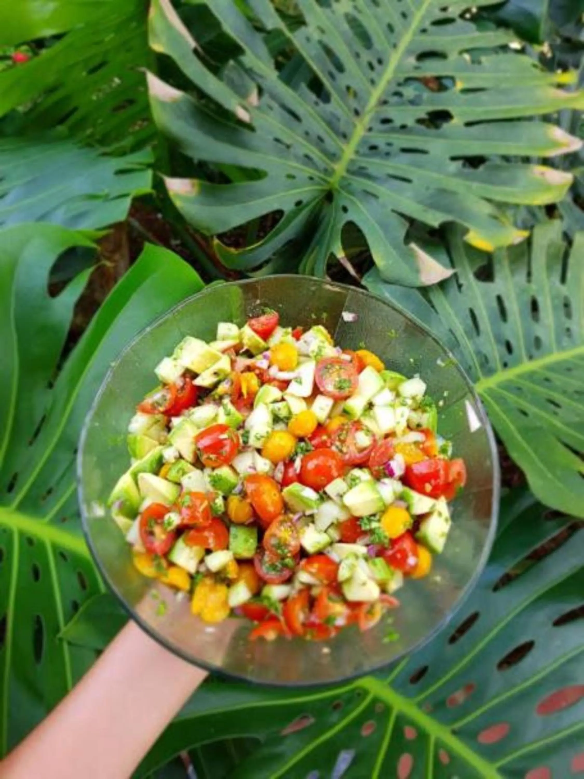 Food and drinks in Finca Luna Nueva Lodge