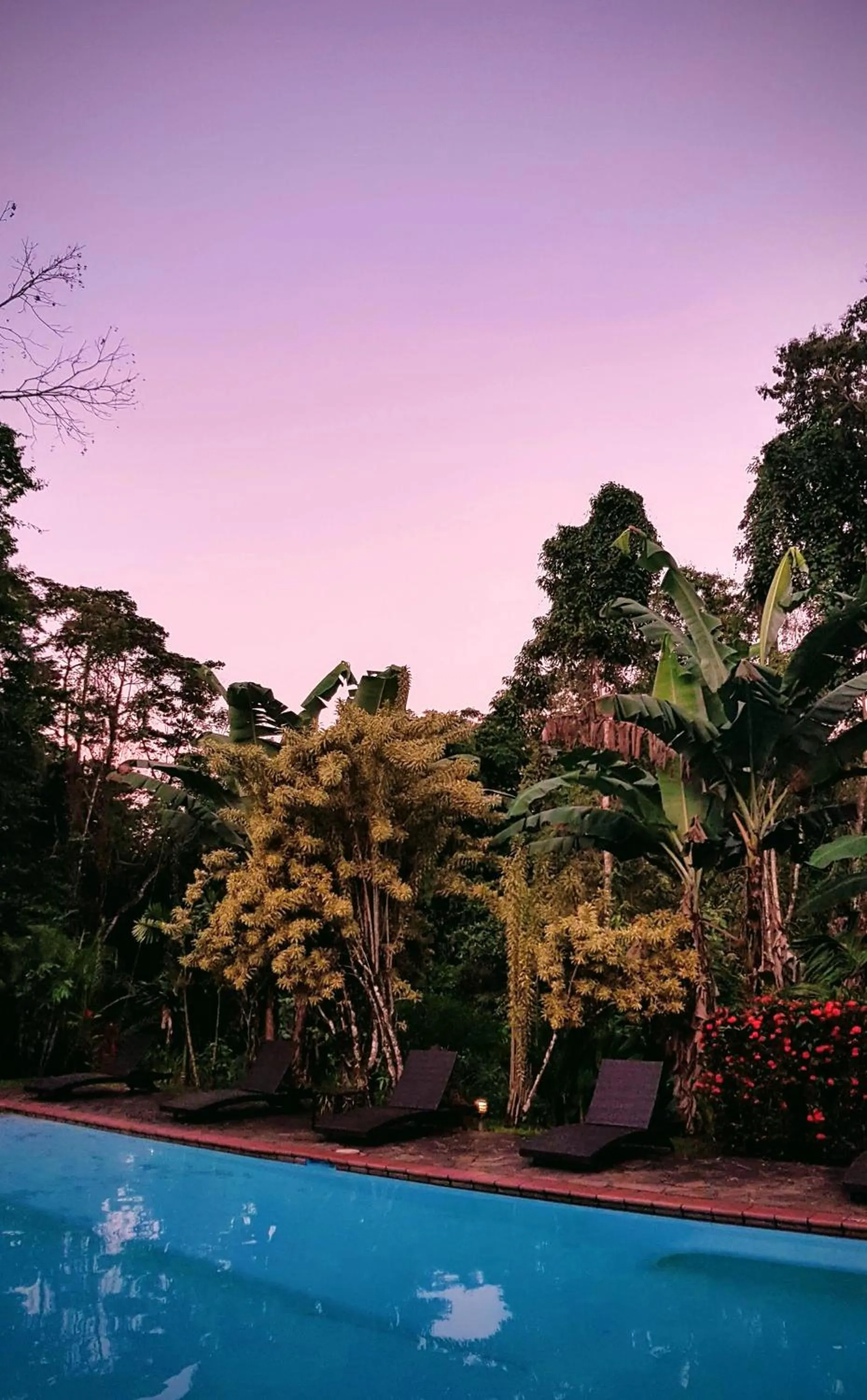 Swimming pool in Finca Luna Nueva Lodge