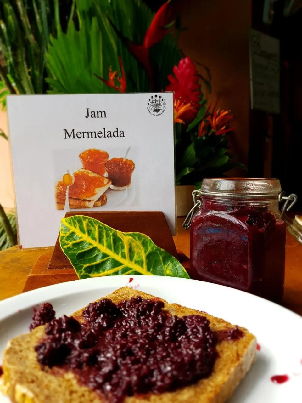 Restaurant/places to eat in Finca Luna Nueva Lodge