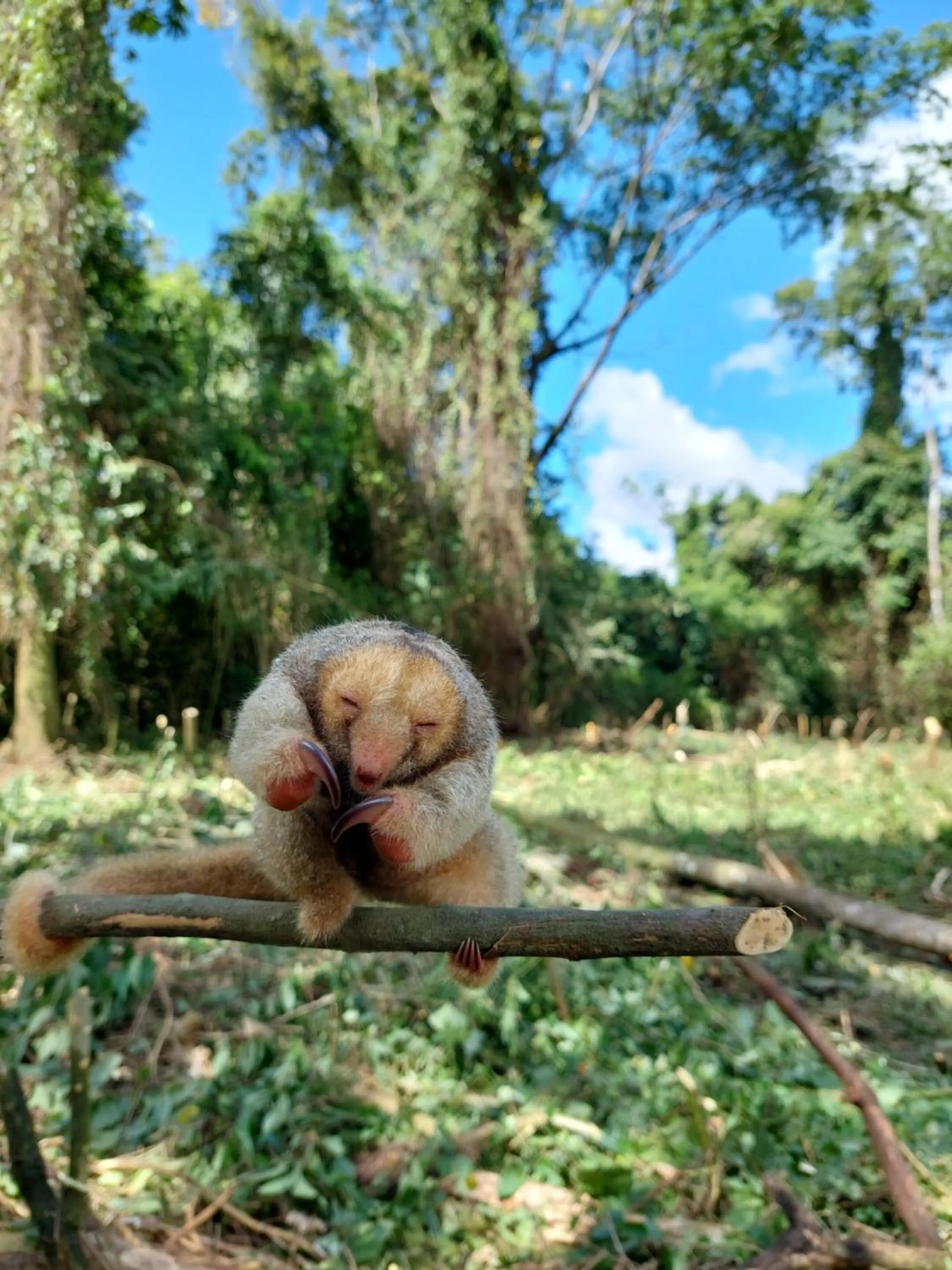 Activities in Finca Luna Nueva Lodge