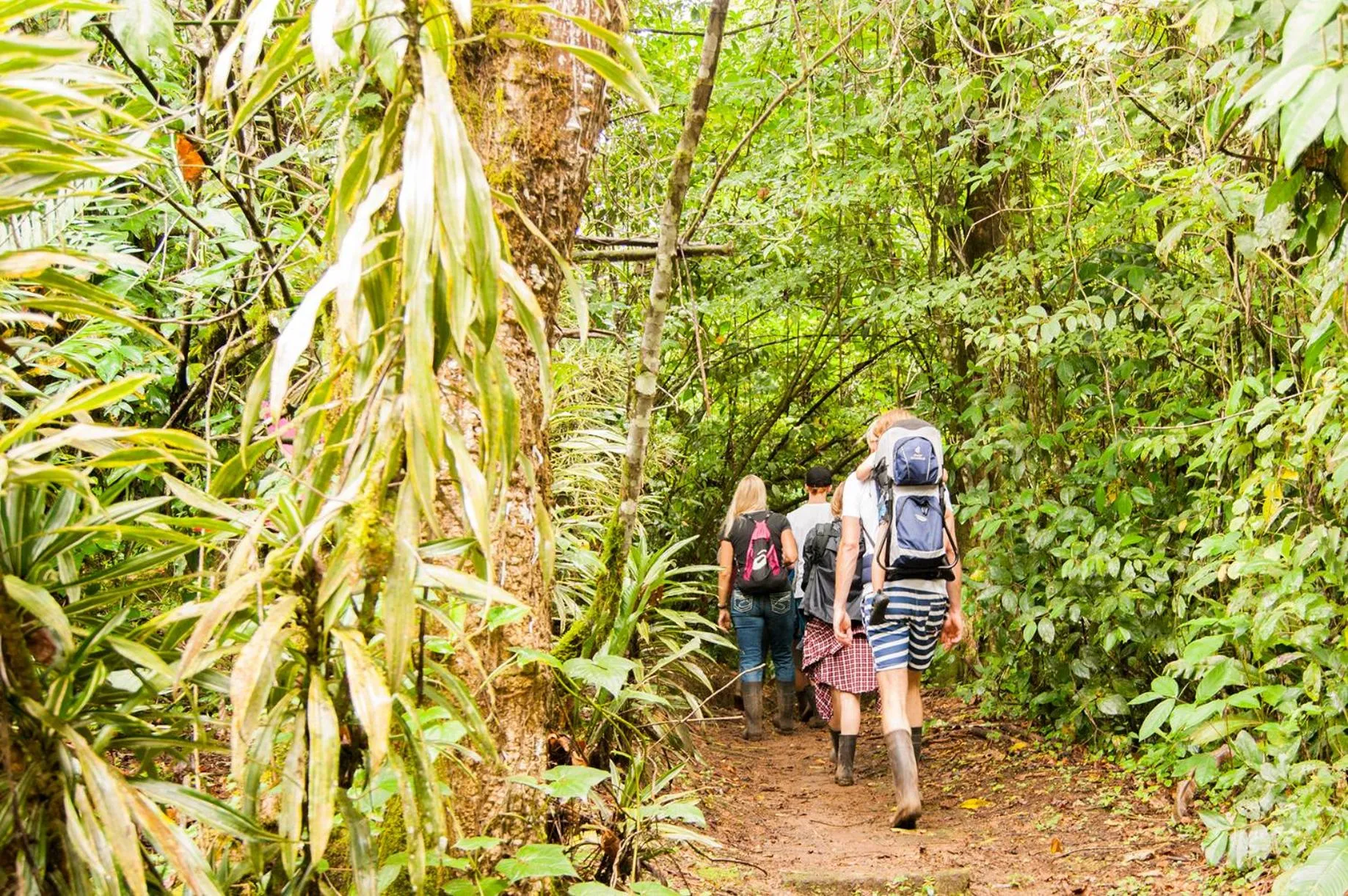 Activities in Finca Luna Nueva Lodge