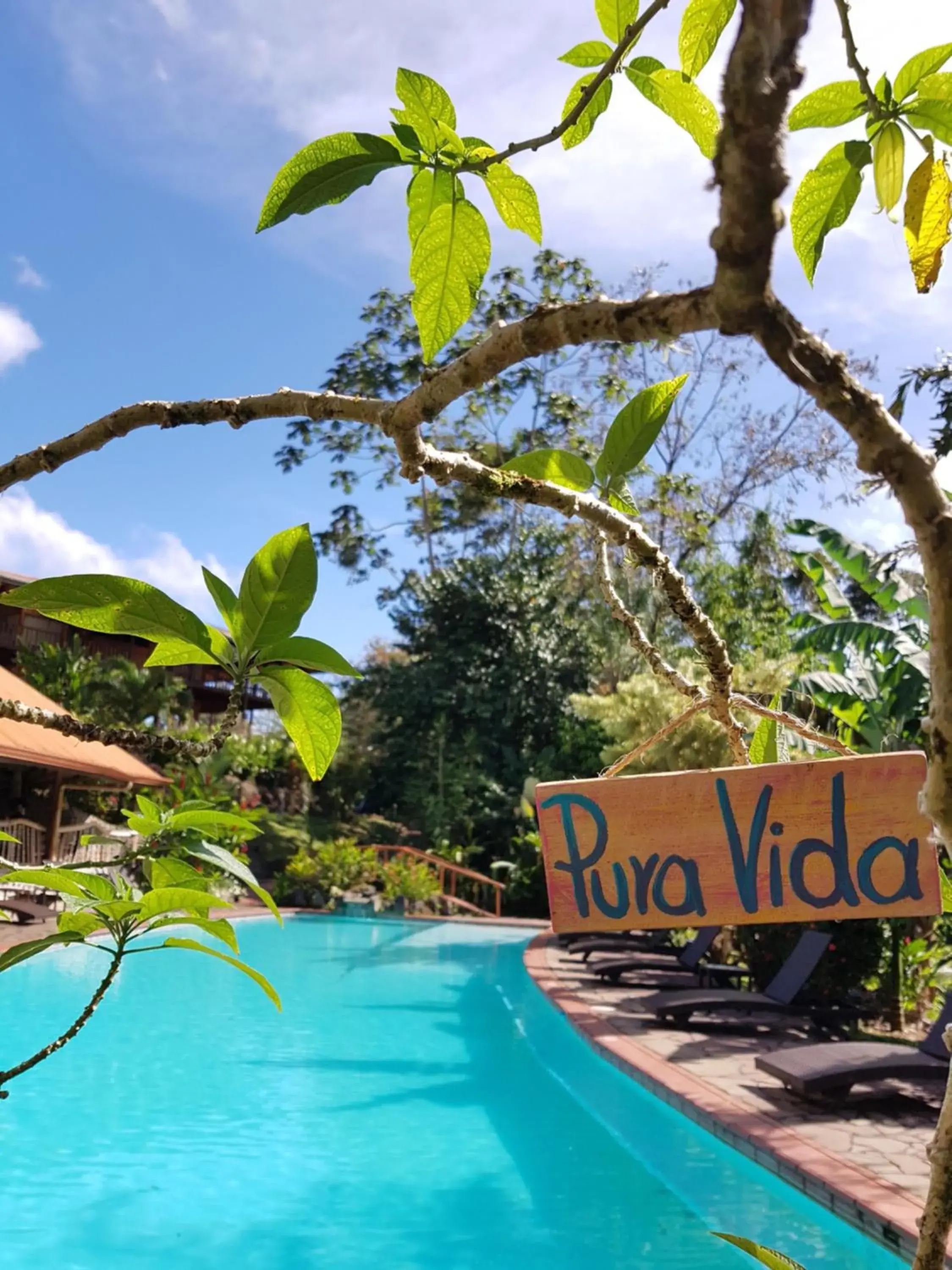 Swimming pool in Finca Luna Nueva Lodge Swimming pool in Finca Luna Nueva Lodge