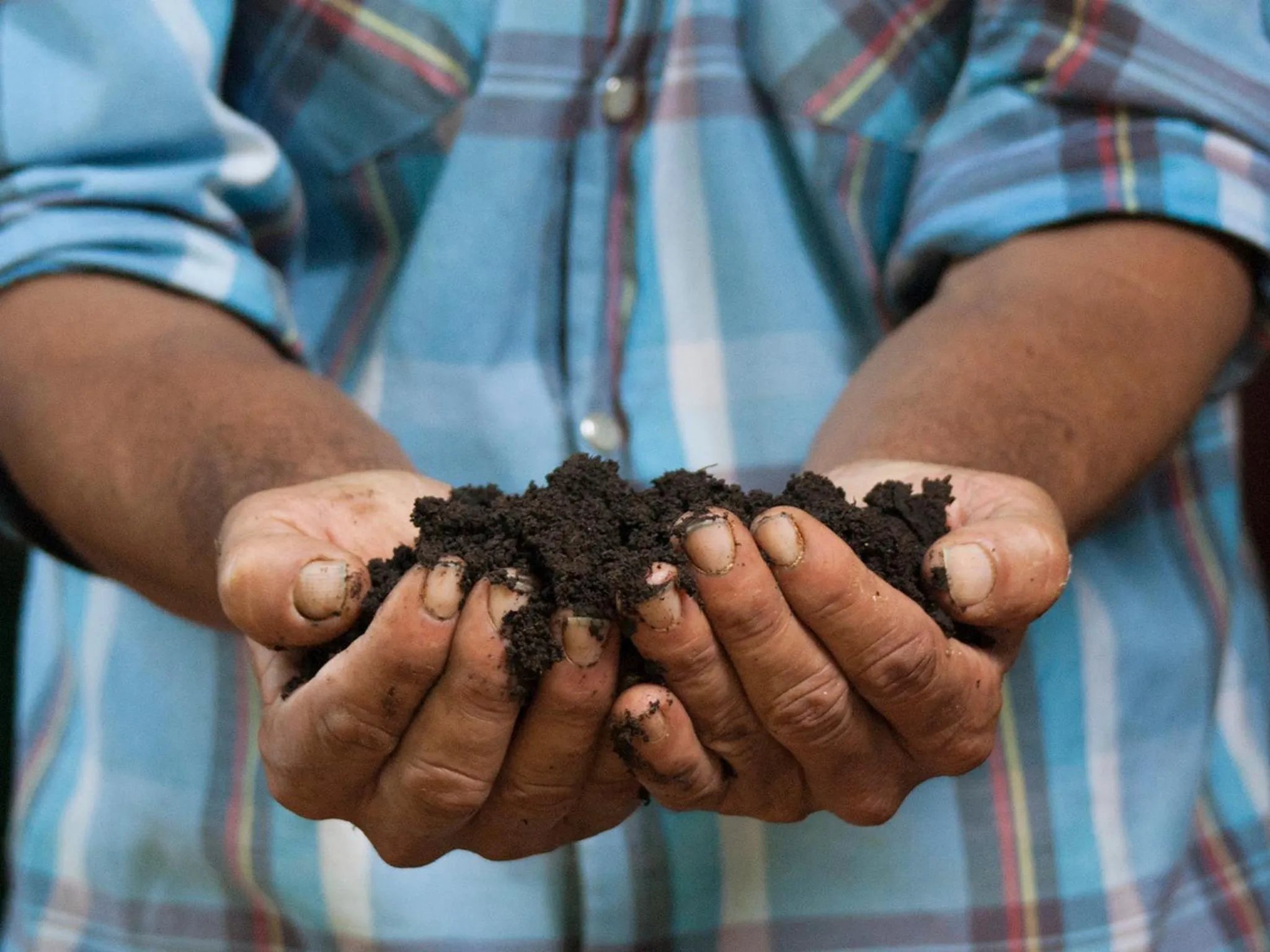 Staff in Finca Luna Nueva Lodge
