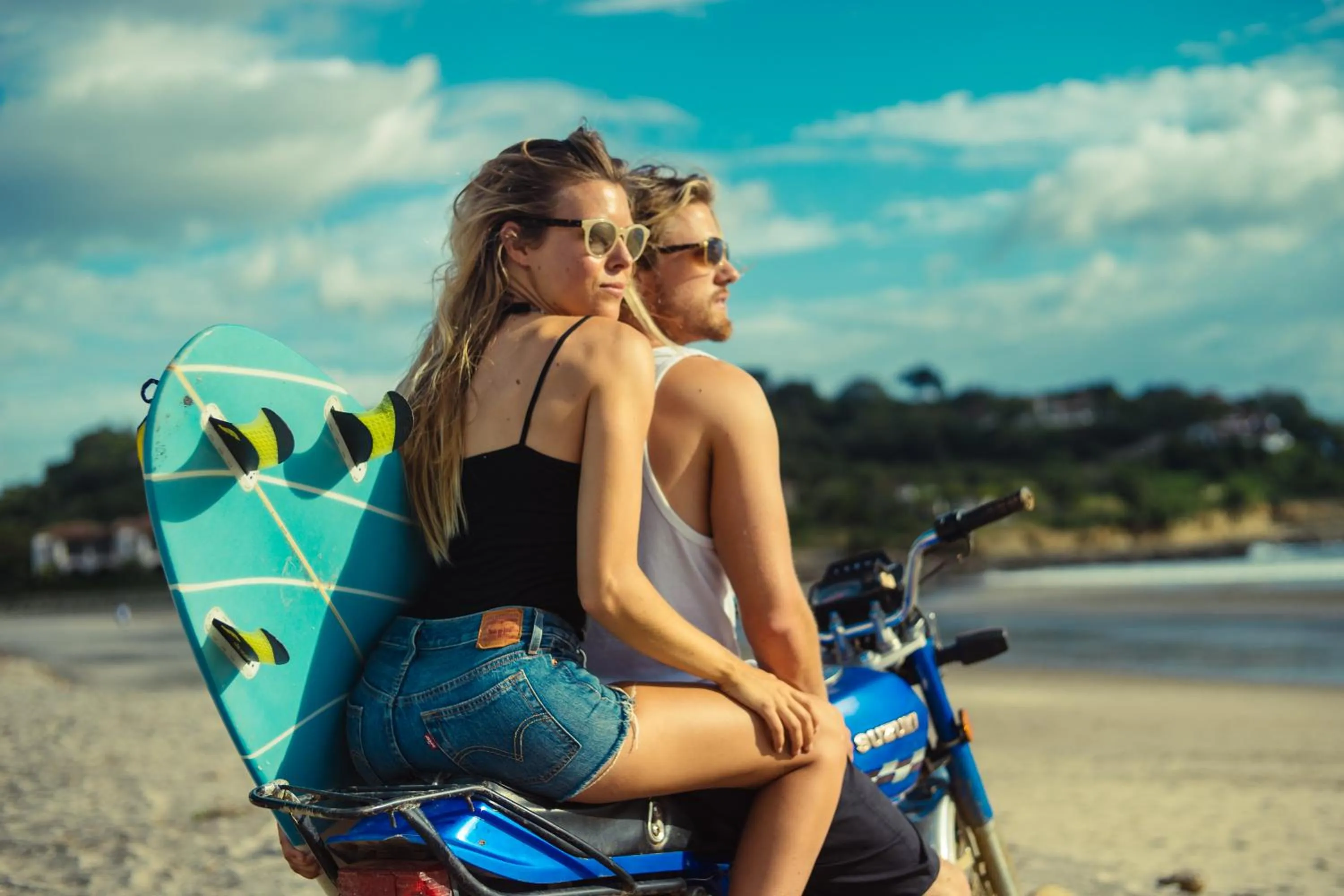 Animals in Nicawaves