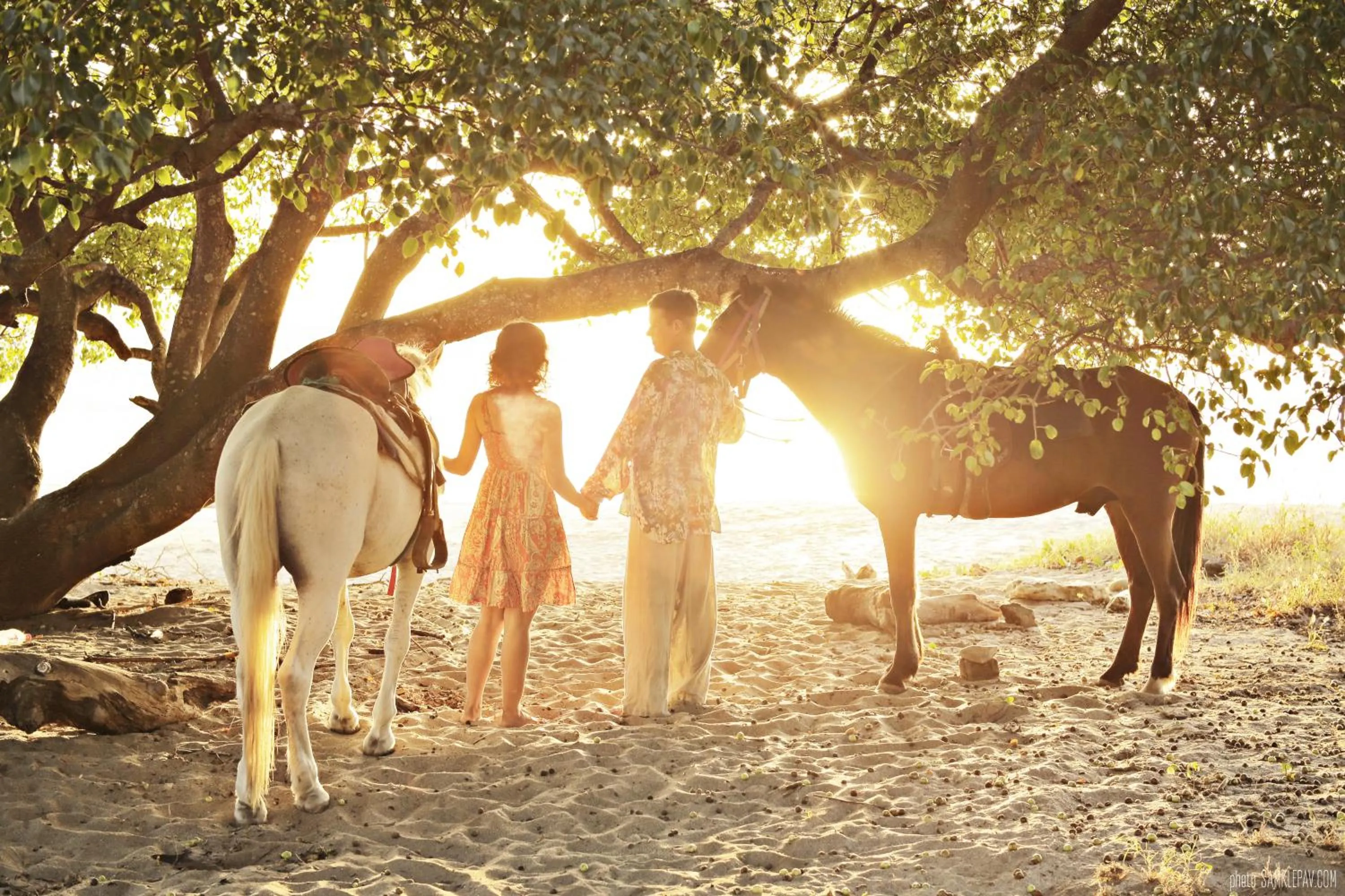 Horse-riding in Nicawaves