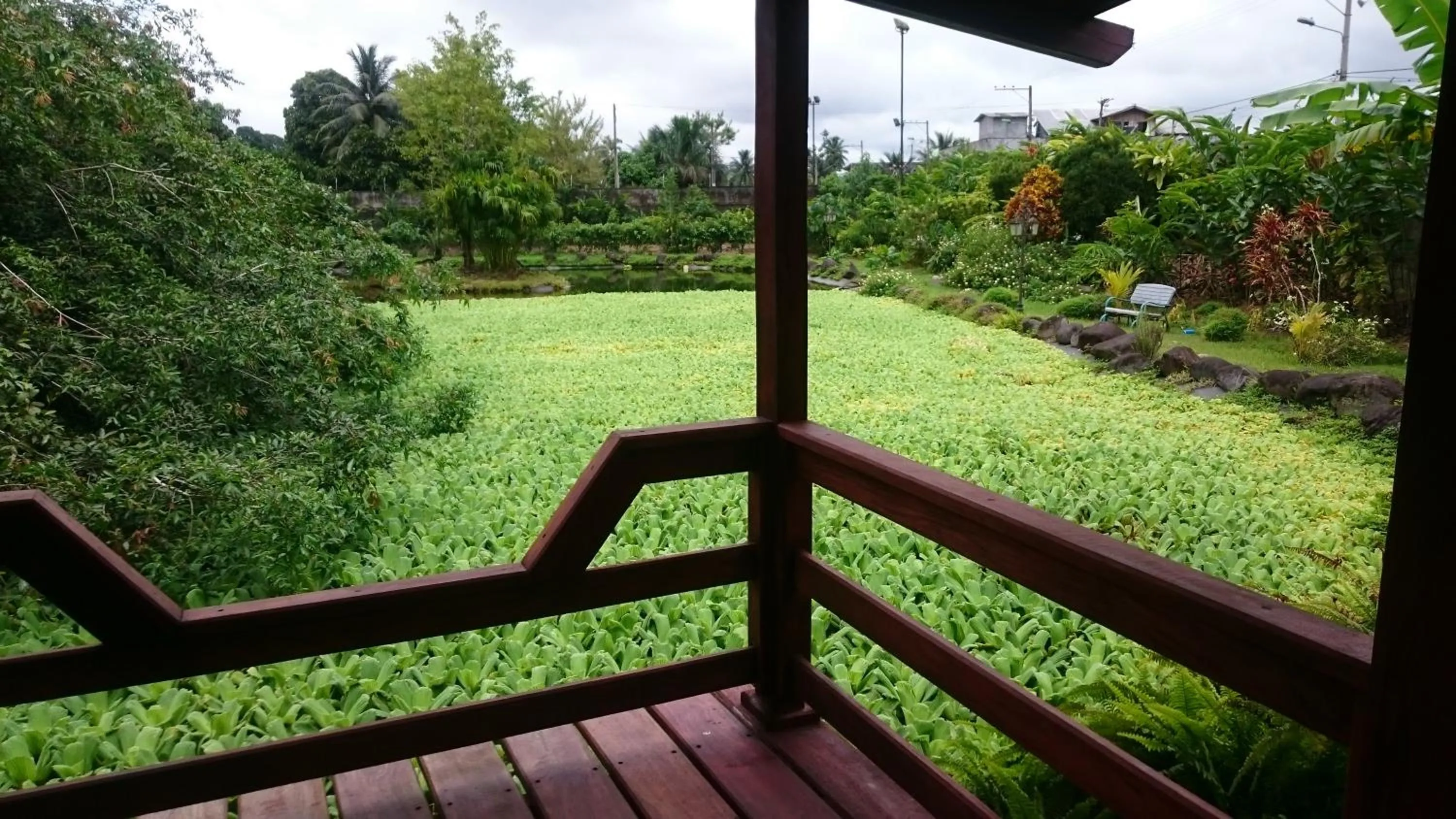 Garden view in Gran Hotel De Lago - El Coca