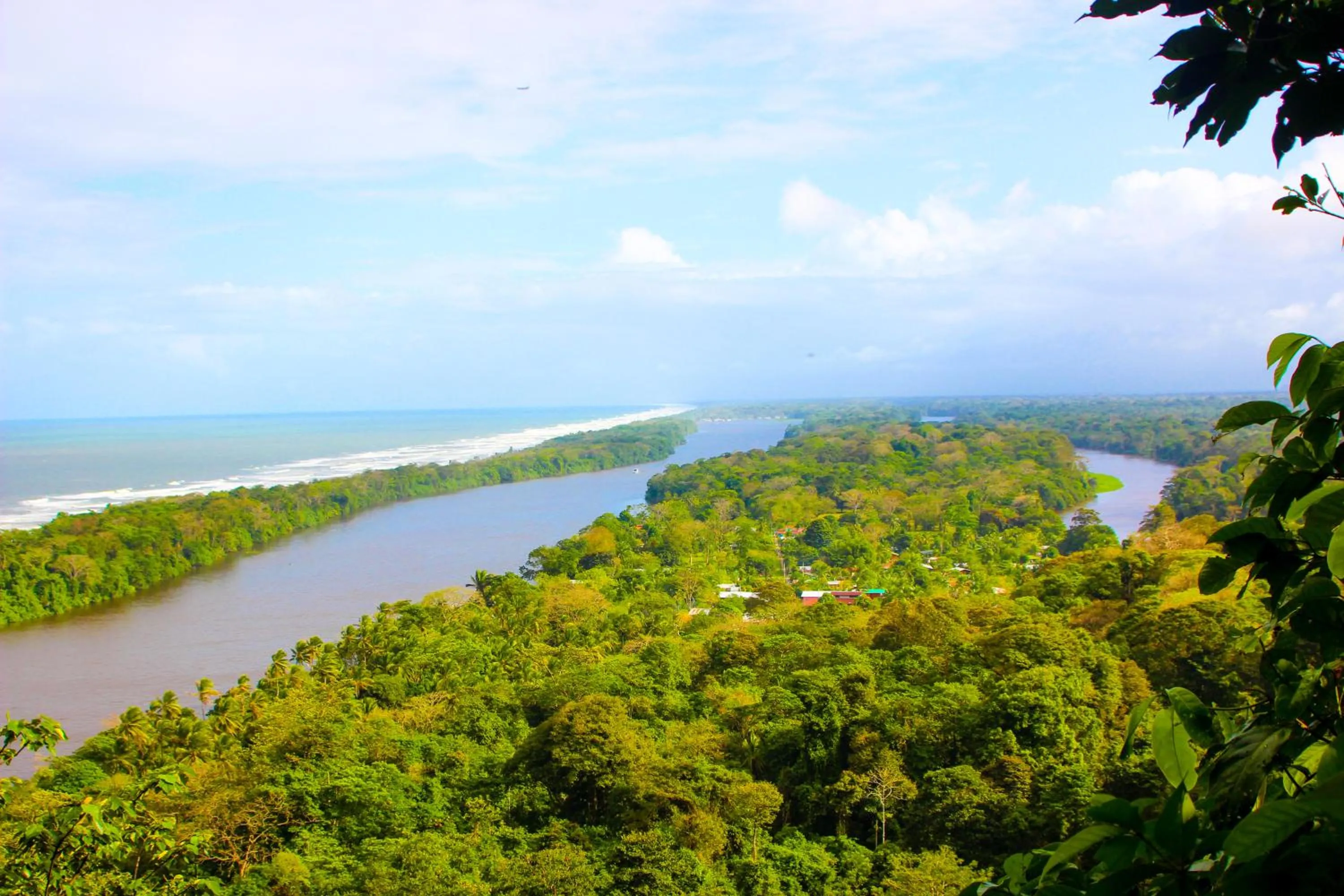 Natural landscape in Hotel Tortuguero Beachfront