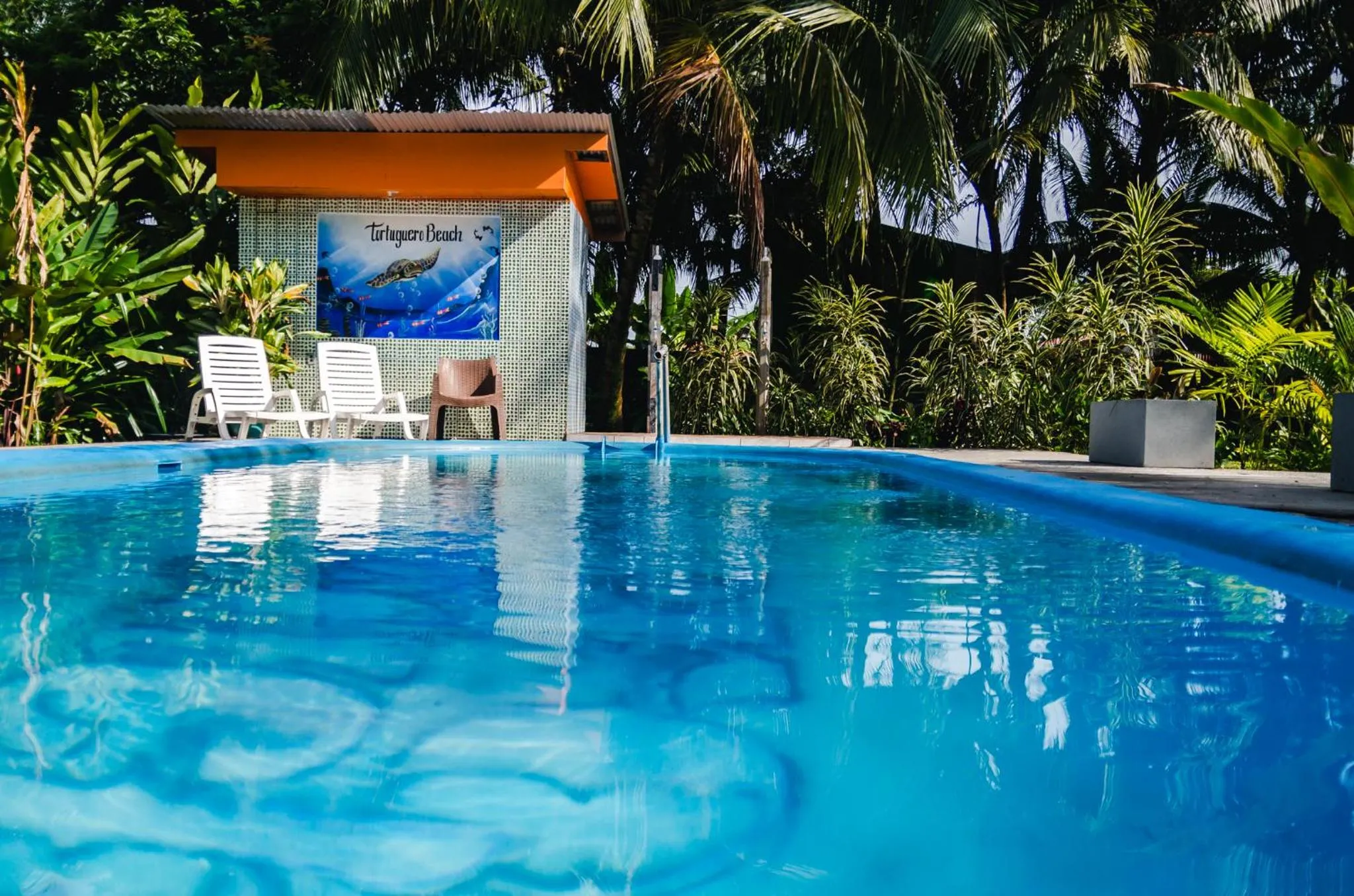Swimming pool in Hotel Tortuguero Beachfront