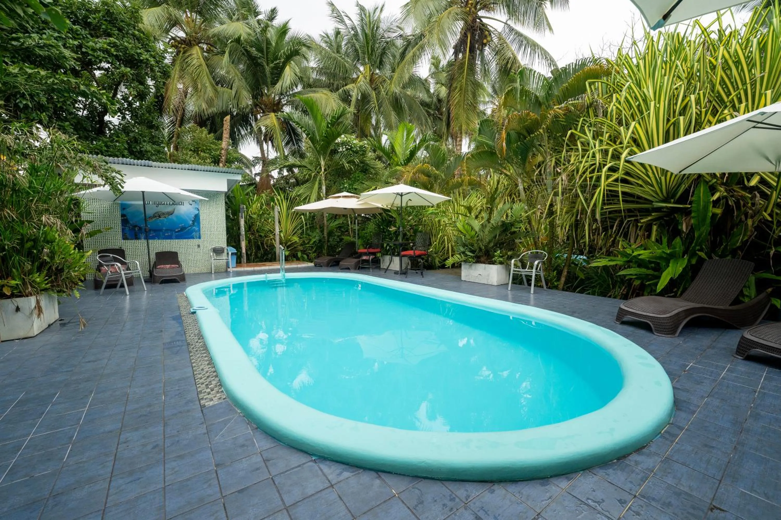 Garden in Hotel Tortuguero Beachfront