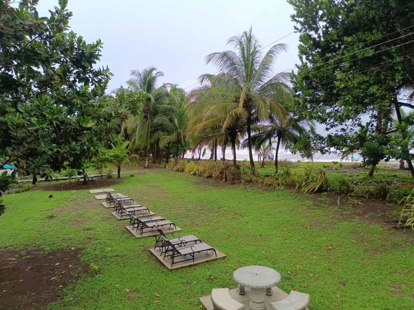 Natural landscape in Hotel Tortuguero Beachfront