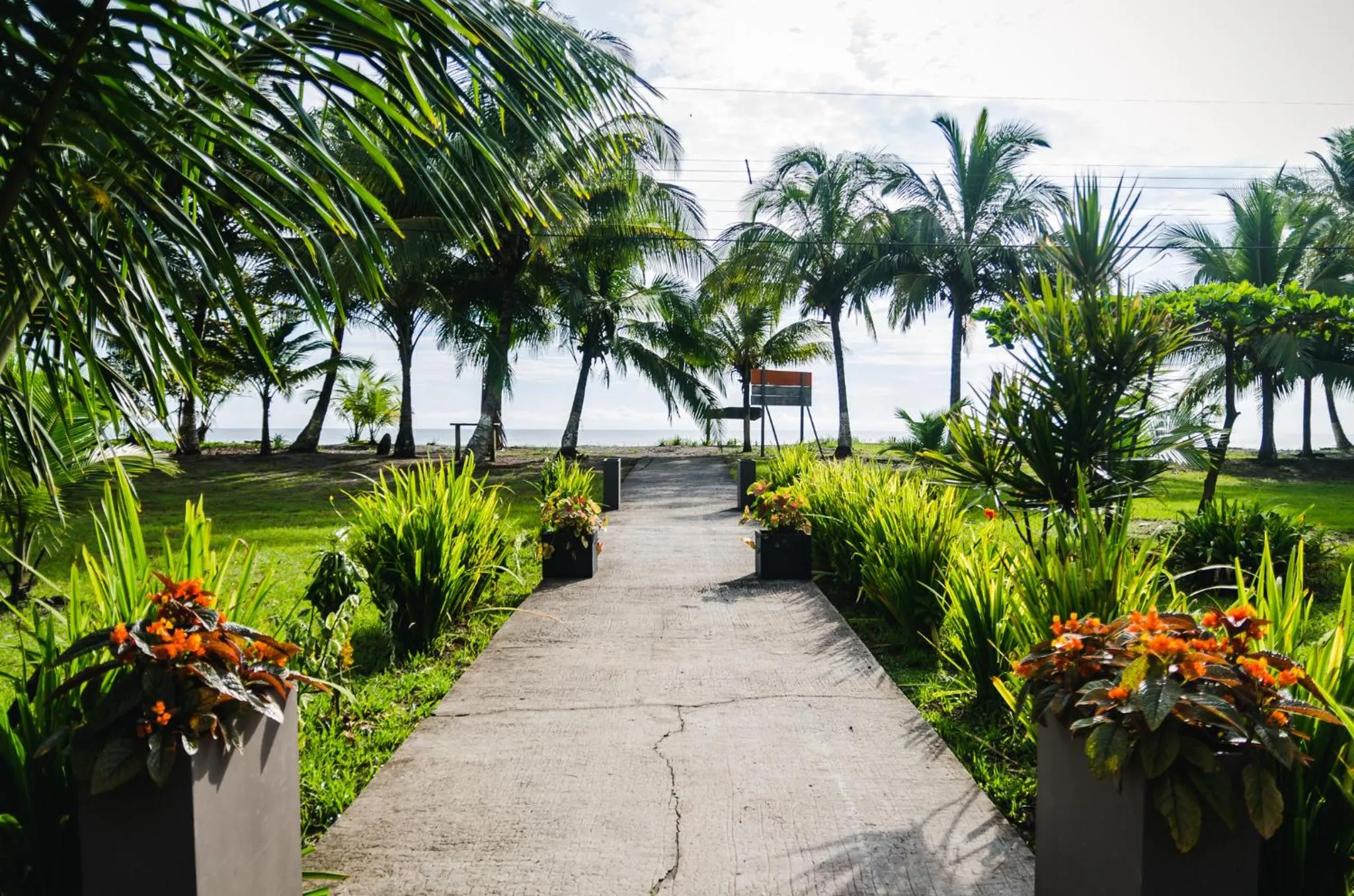 Restaurant/places to eat in Hotel Tortuguero Beachfront