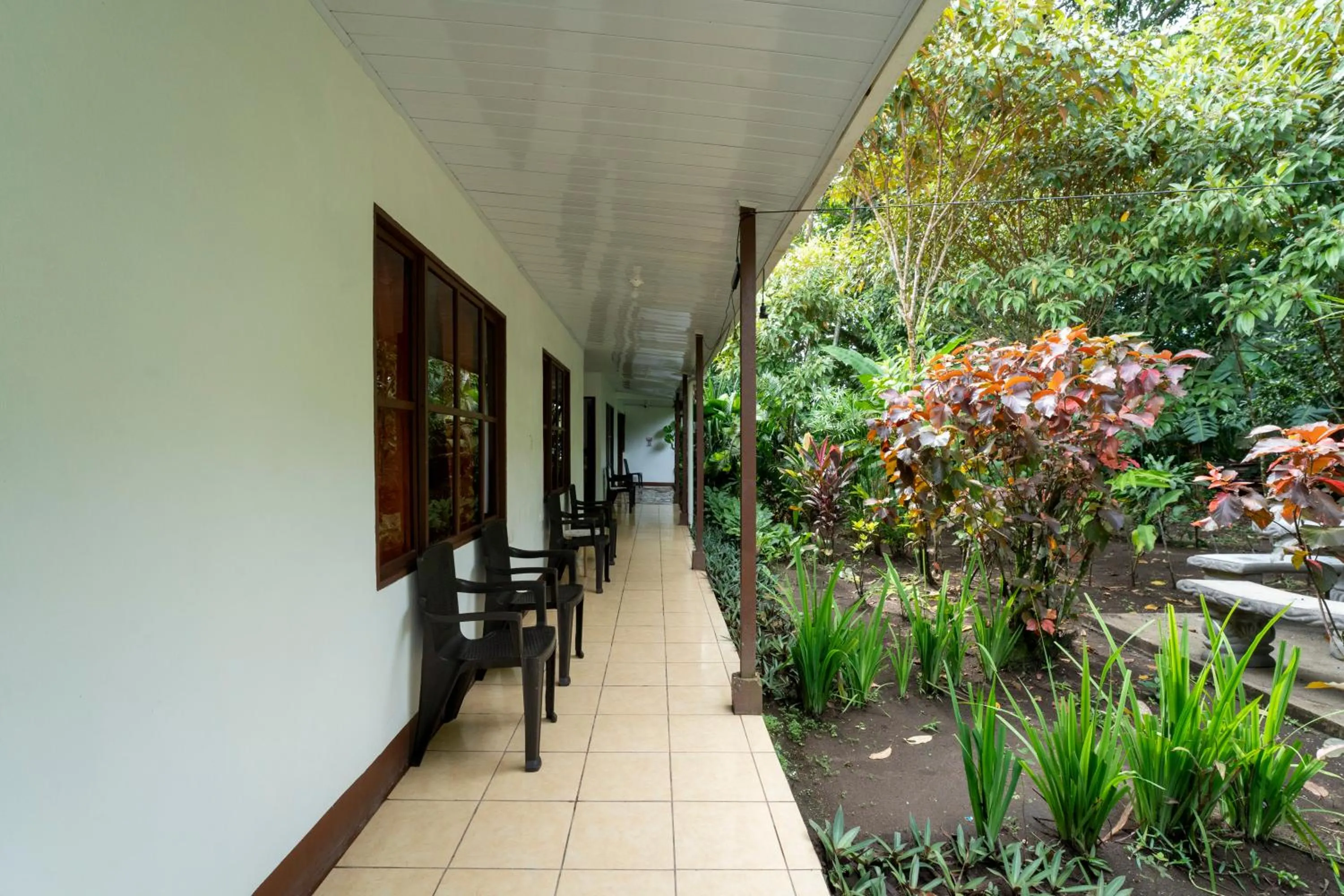Spring in Hotel Tortuguero Beachfront