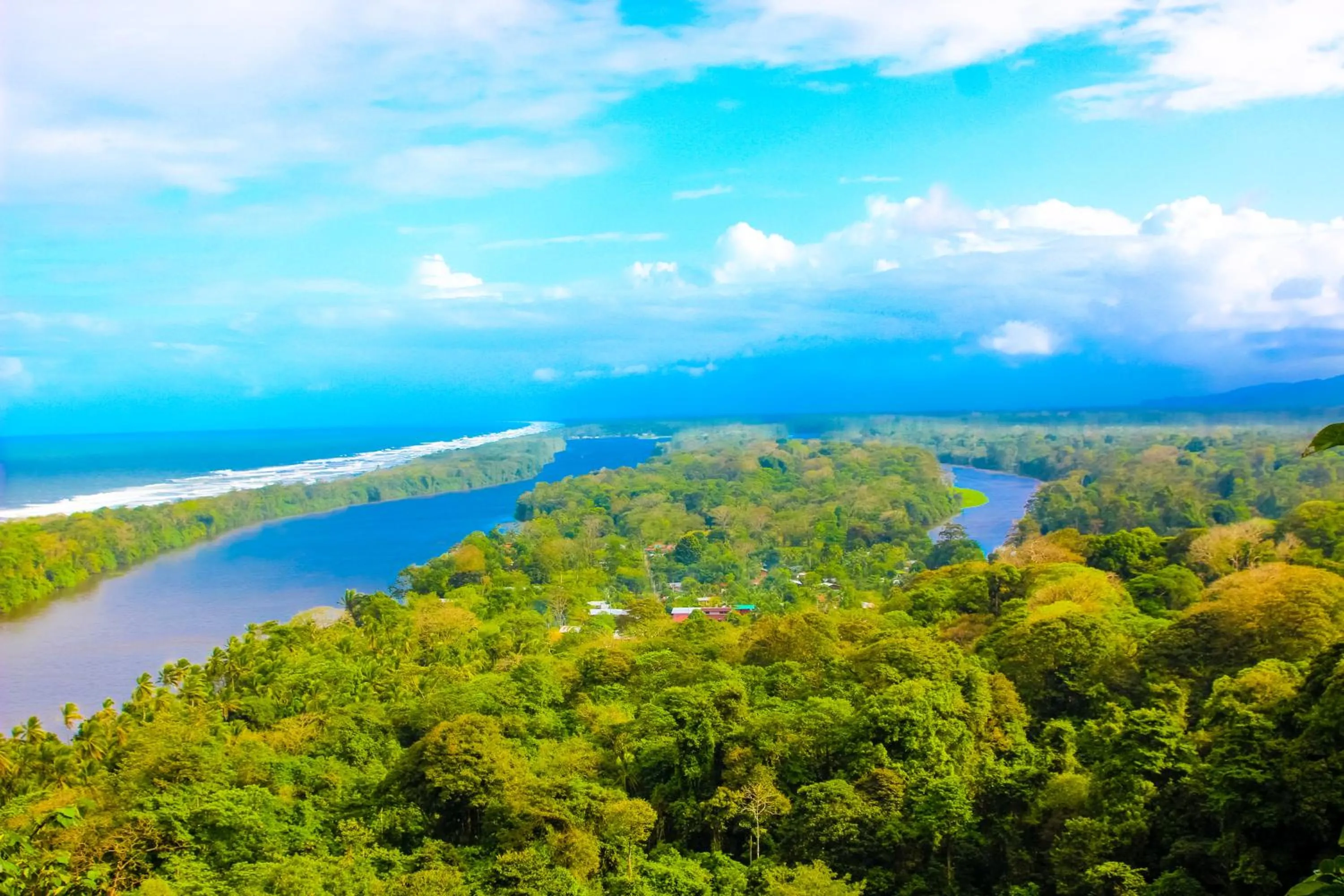 Natural landscape in Hotel Tortuguero Beachfront