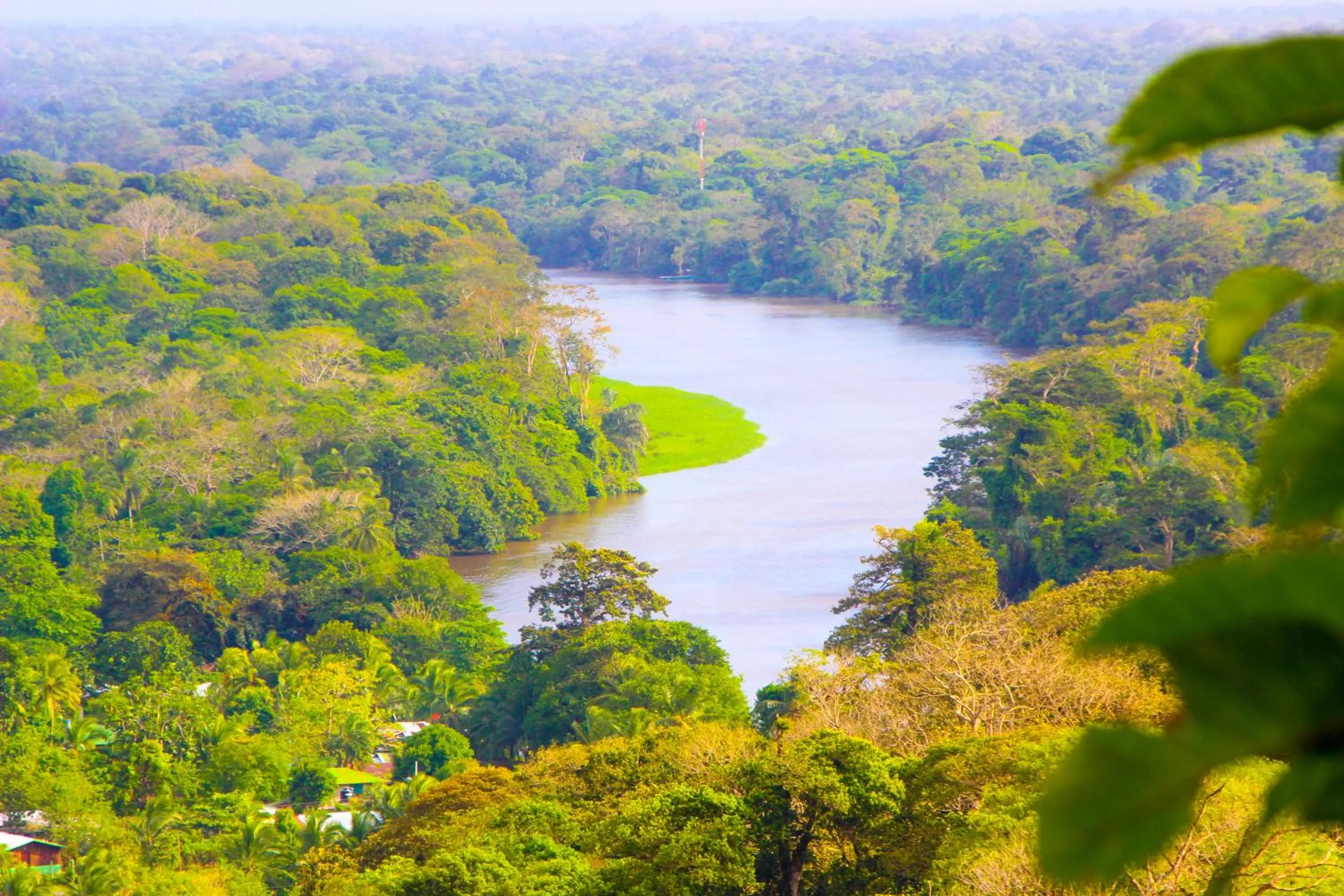 Natural landscape in Hotel Tortuguero Beachfront