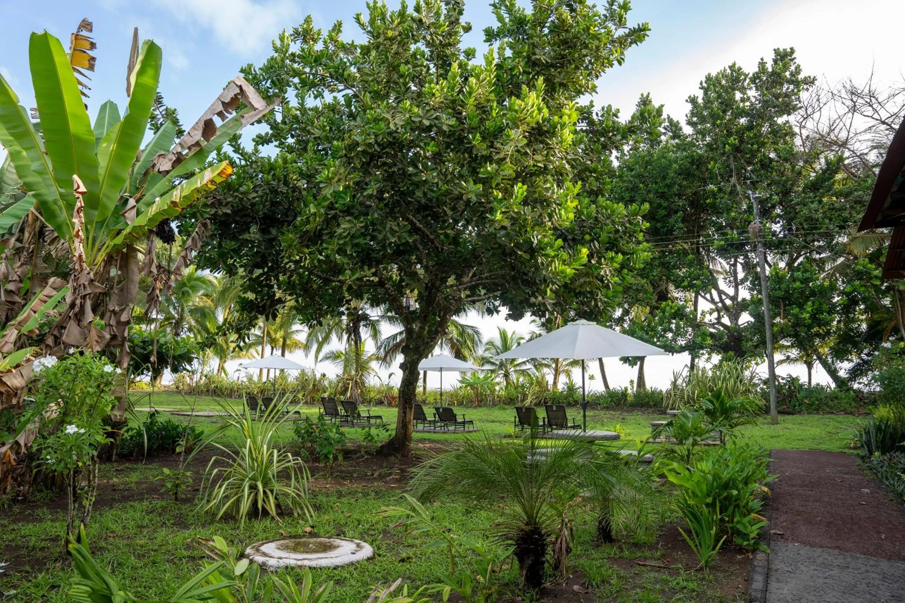 Day in Hotel Tortuguero Beachfront