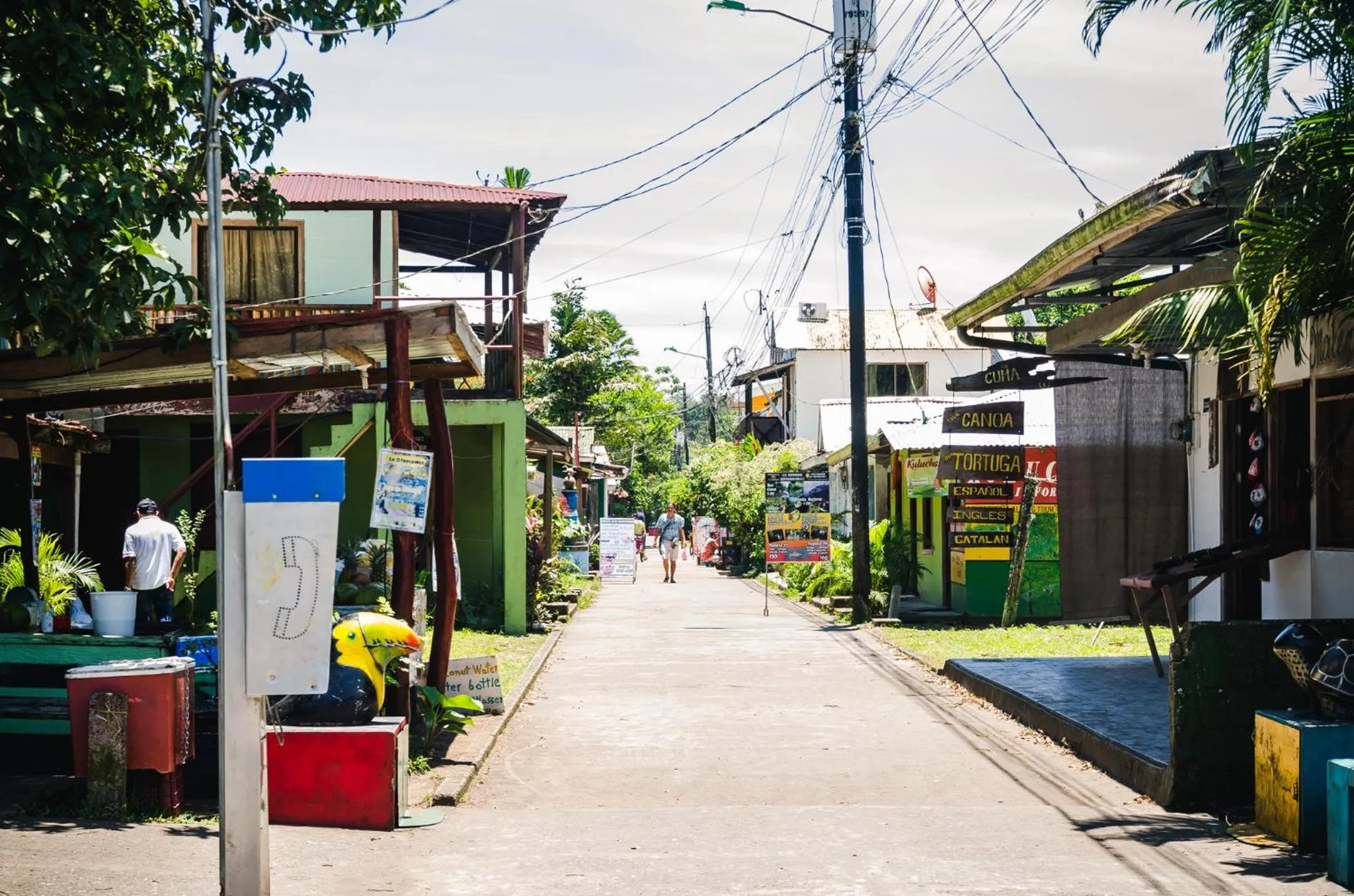 Nearby landmark in Hotel Tortuguero Beachfront