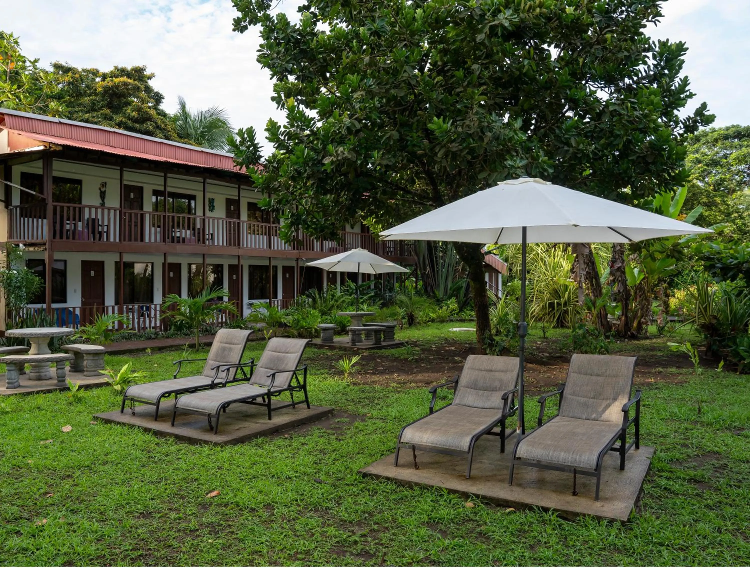 Garden view in Hotel Tortuguero Beachfront