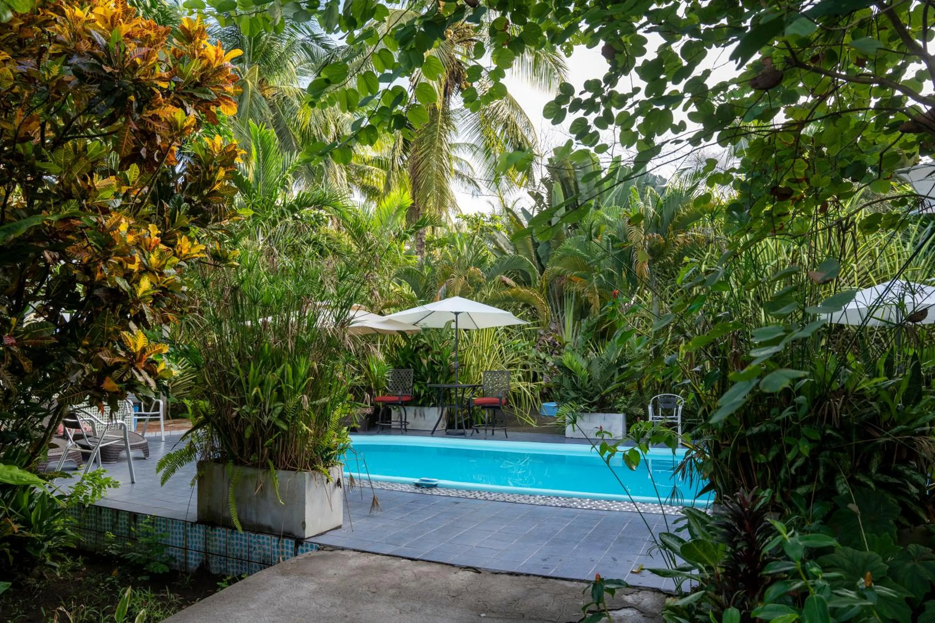 Pool view in Hotel Tortuguero Beachfront